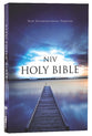 NIV Value Outreach Bible Blue Pier (Black Letter Edition)