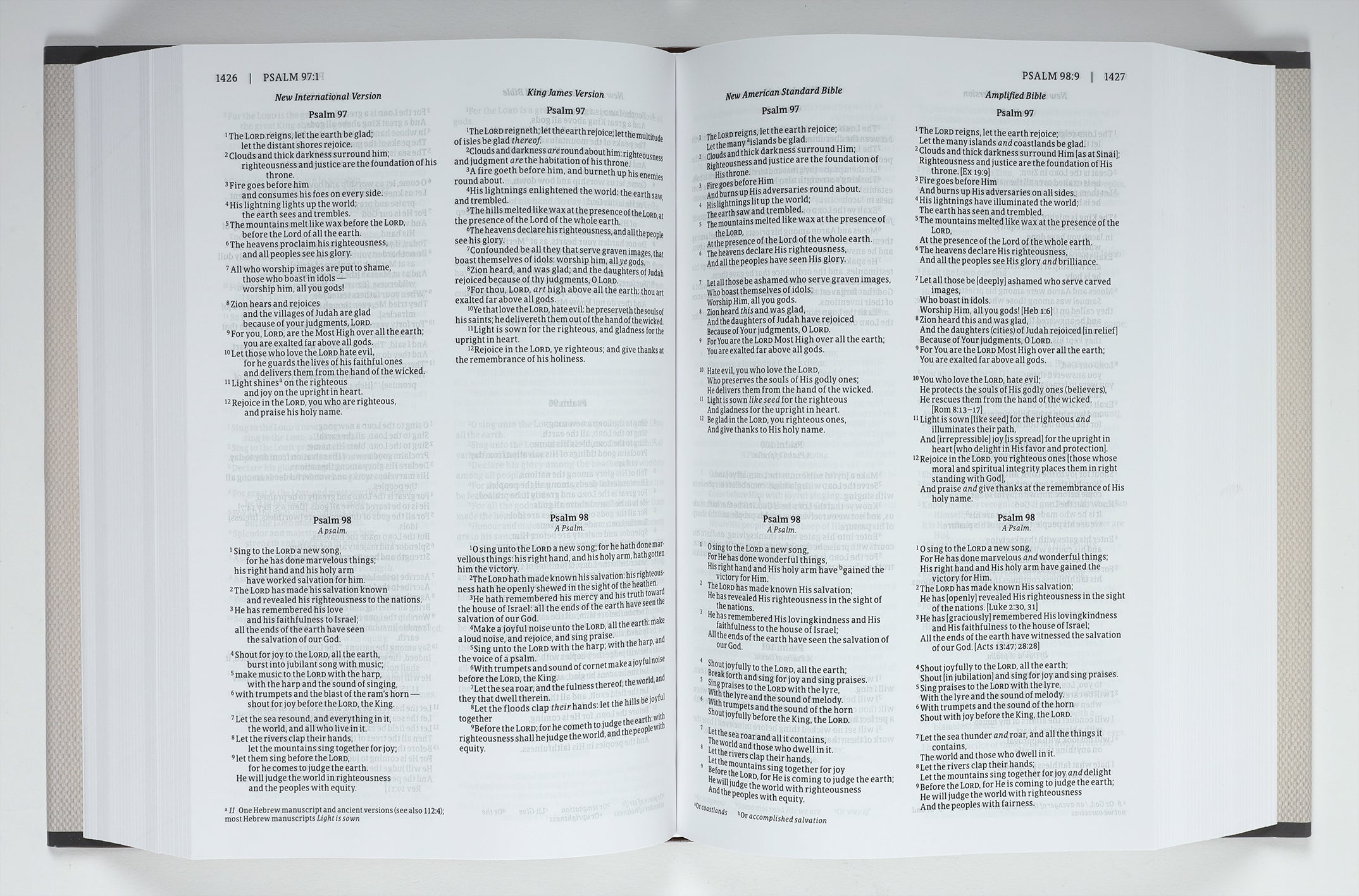 NIV KJV NASB Amplified Parallel Bible