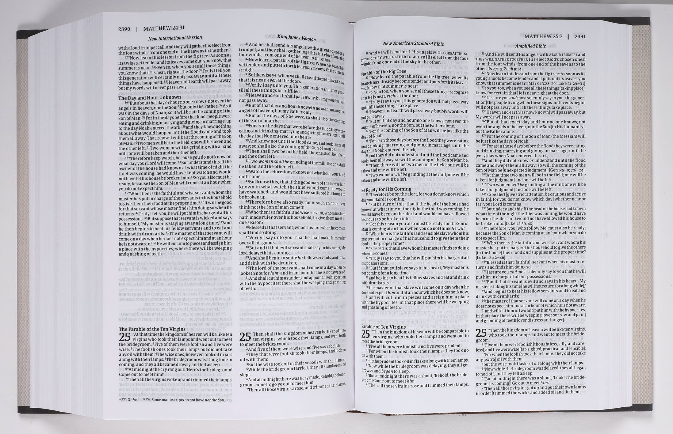 NIV KJV NASB Amplified Parallel Bible