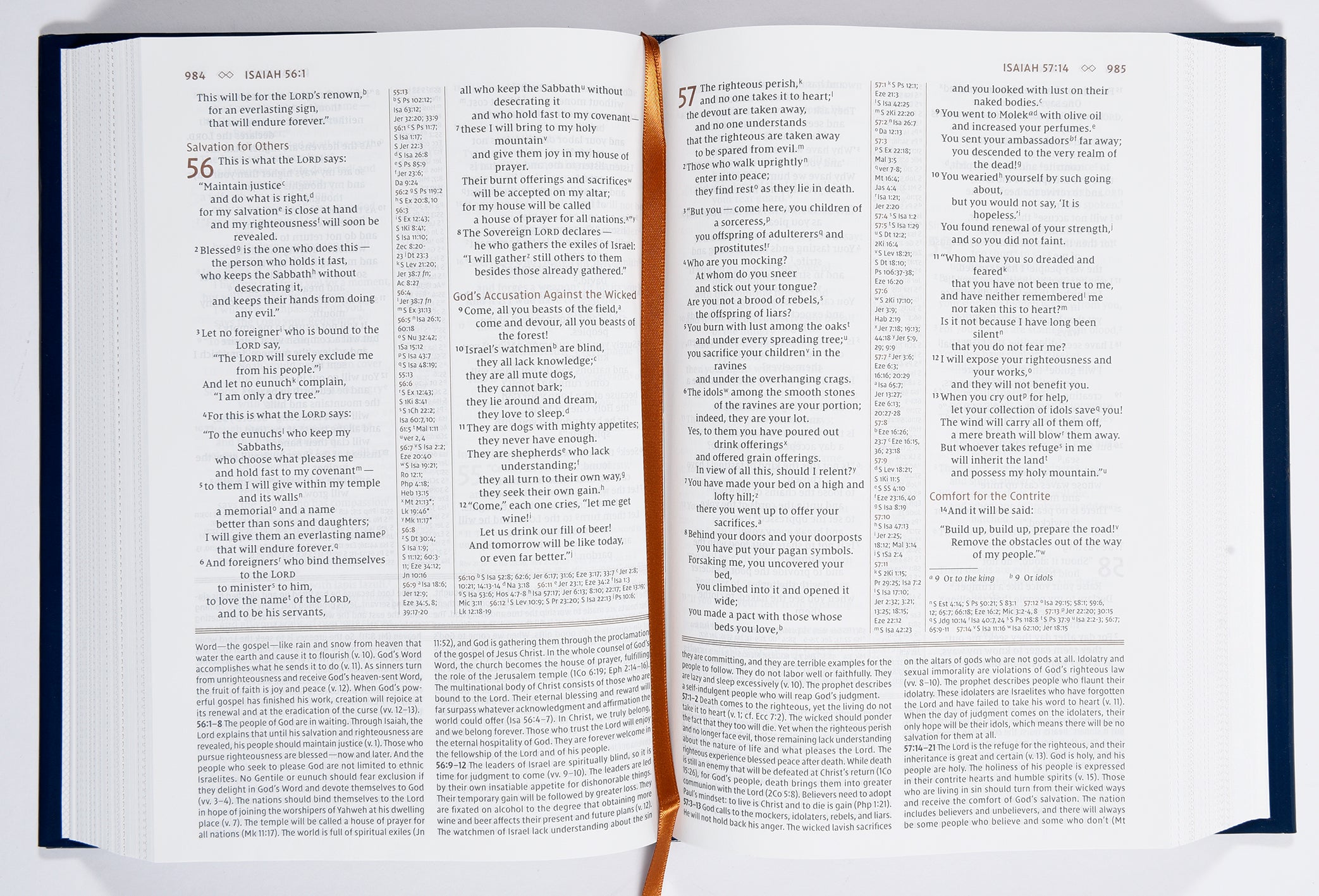 NIV Grace and Truth Study Bible Brown (Red Letter Edition)