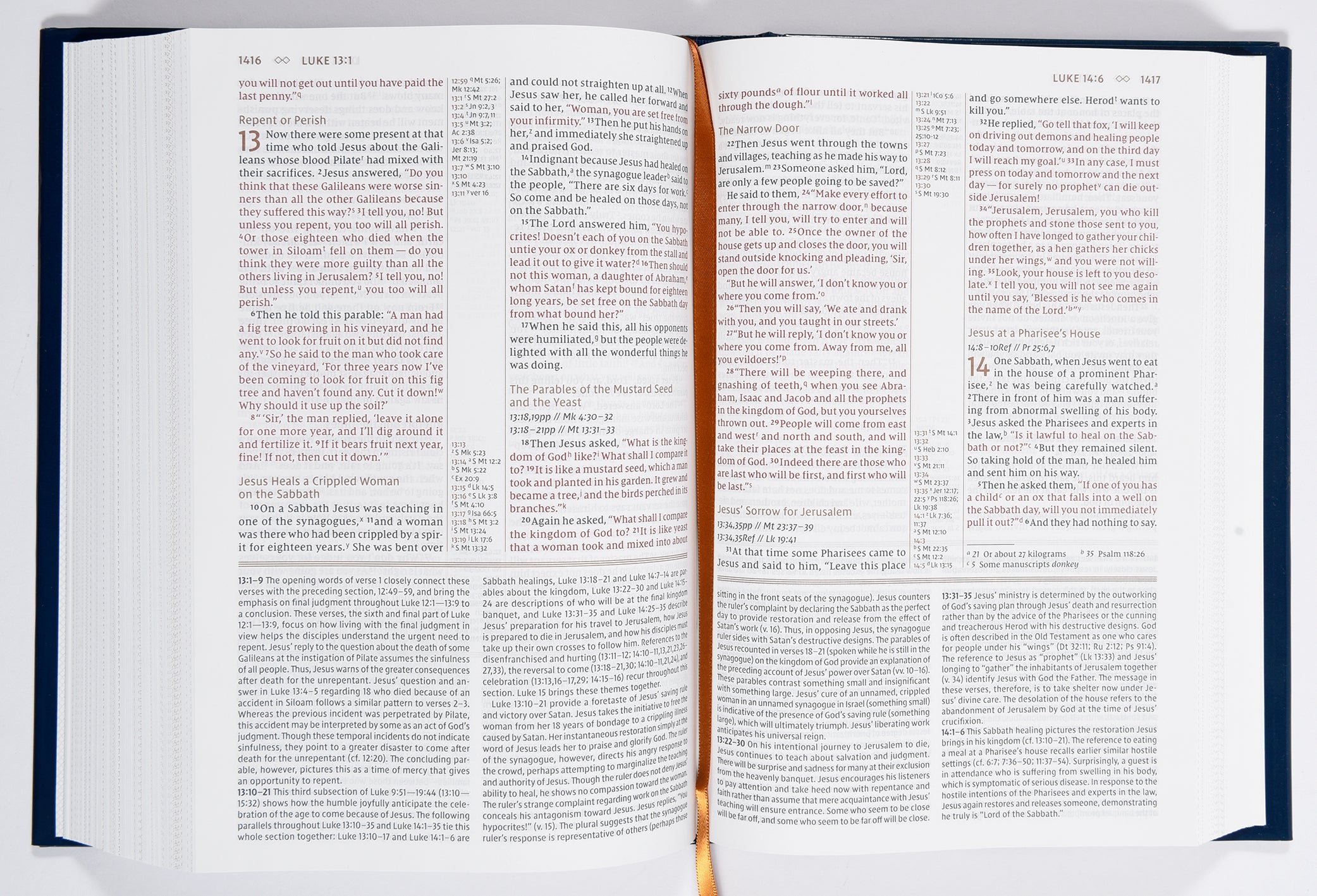 NIV Grace and Truth Study Bible Brown (Red Letter Edition)