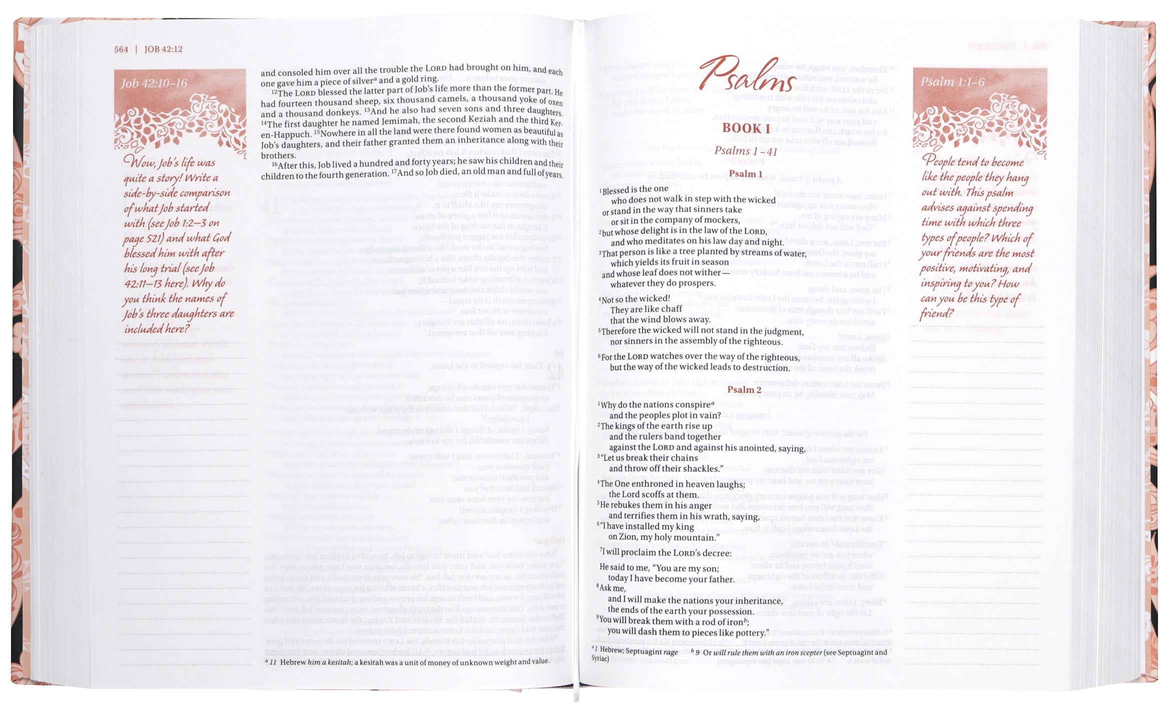 NIV Journal the Word Bible For Teen Girls Pink Floral (Red Letter Edition)