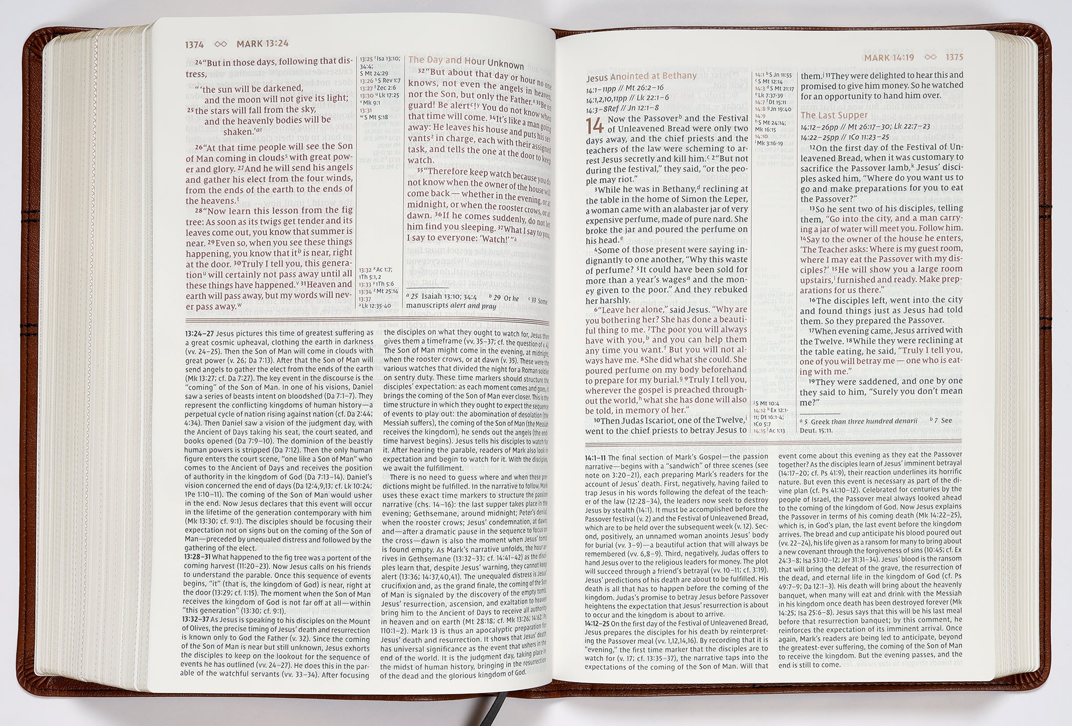 NIV Grace and Truth Study Bible Large Print Brown (Red Letter Edition)