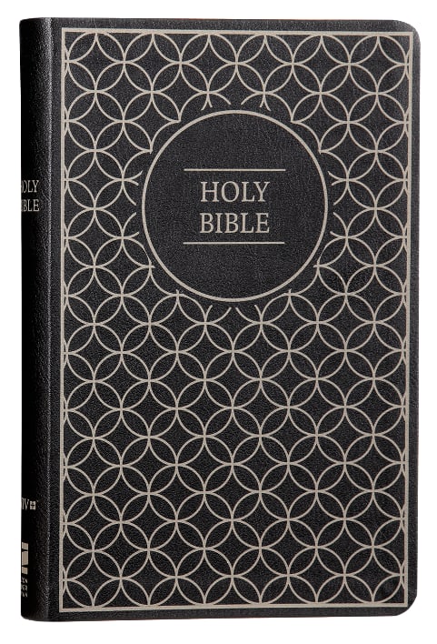NIV Value Thinline Bible Gray/Black (Black Letter Edition)