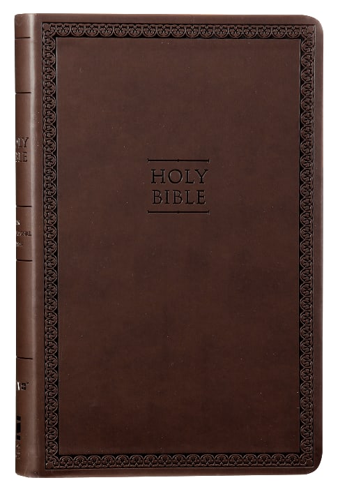 NIV Value Thinline Bible Brown (Black Letter Edition)