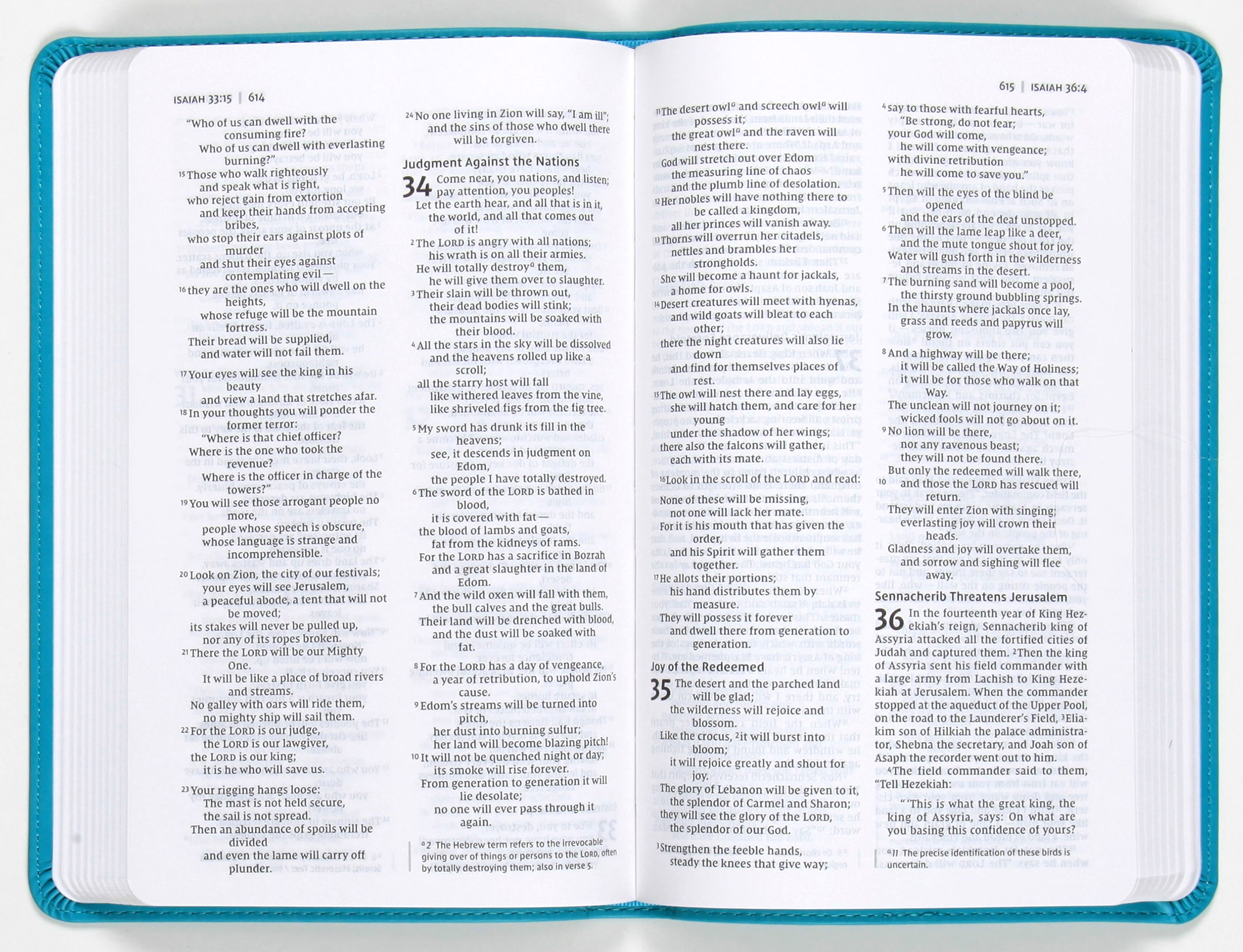 NIV Value Thinline Bible Turquoise (Black Letter Edition)
