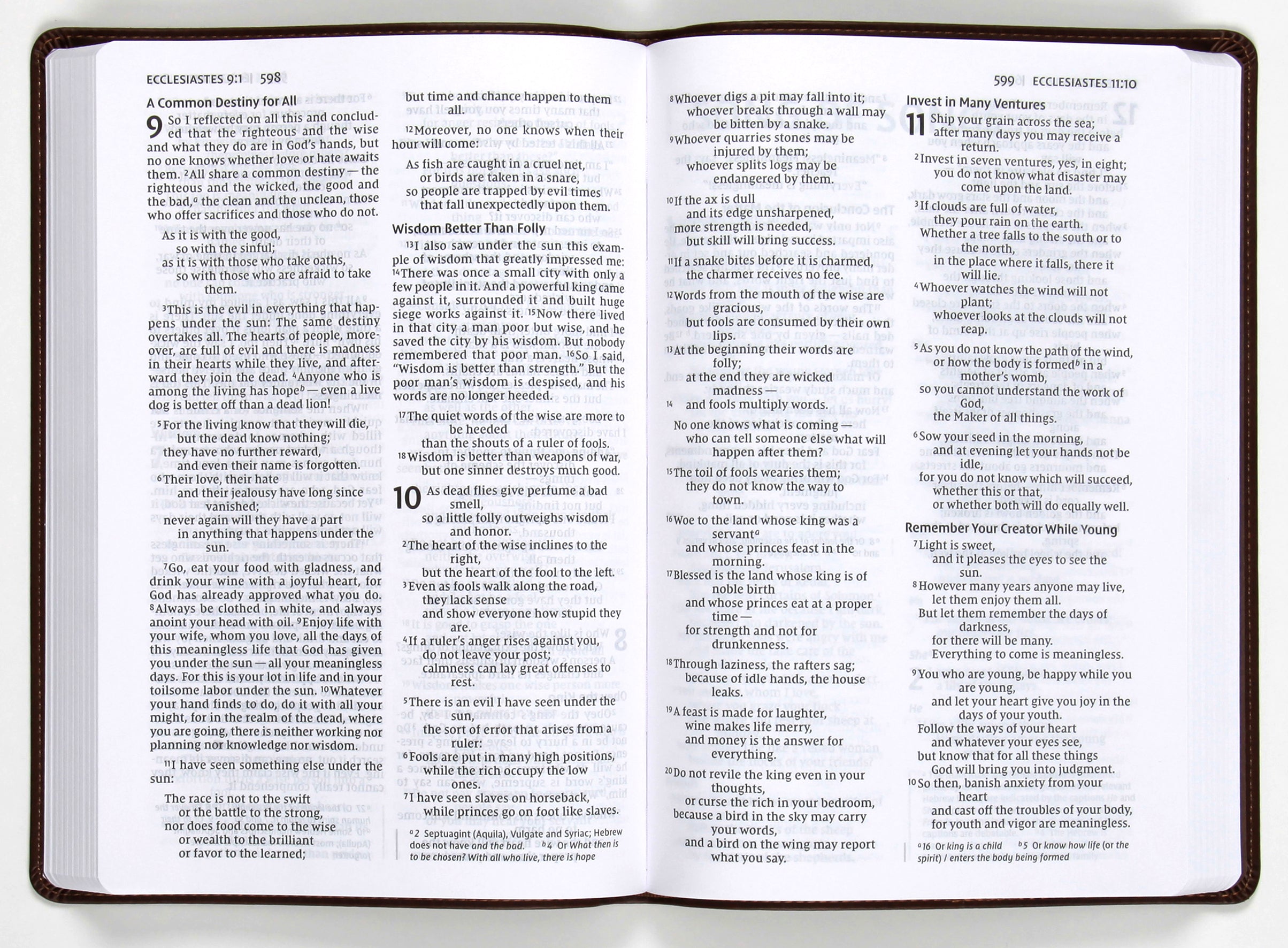 NIV Value Thinline Bible Large Print Brown (Black Letter Edition)