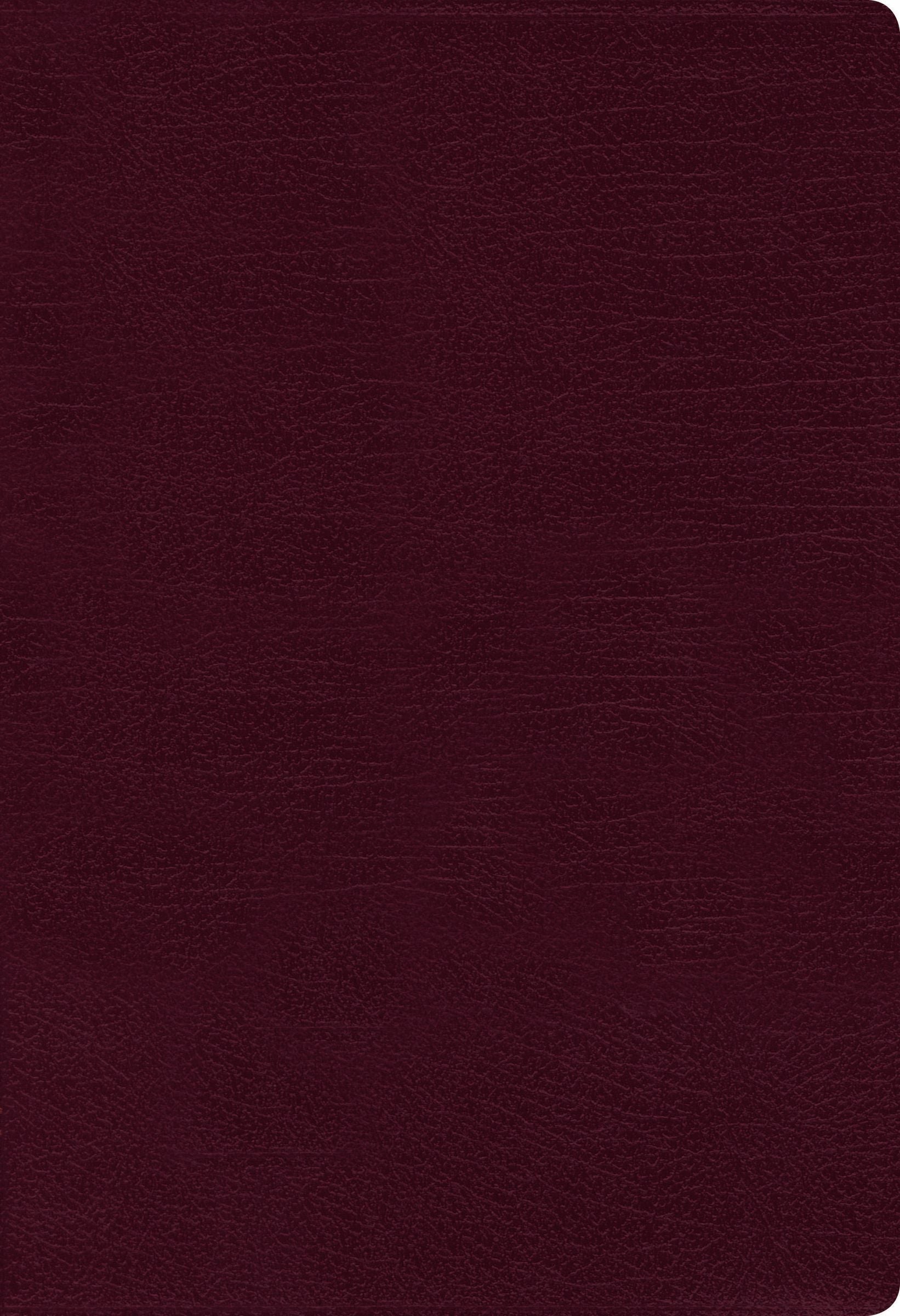 NIV Thinline Bible Burgundy Indexed (Red Letter Edition)