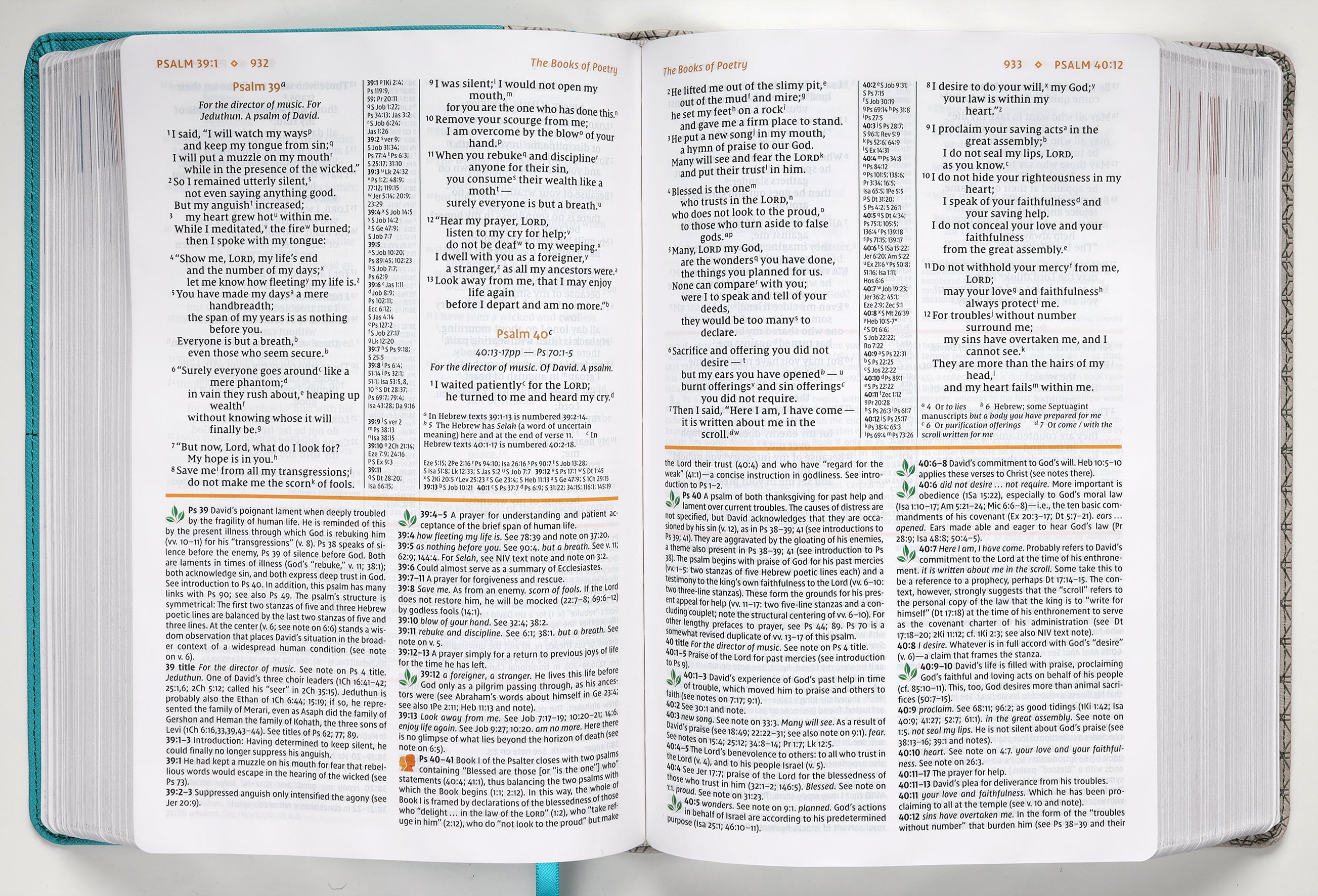 NIV Study Bible Teal/Gray (Red Letter Edition) Fully Revised Edition (2020)