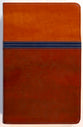 NIV Study Bible Personal Size Brown/Blue (Red Letter Edition) Fully Revised Edition (2020)