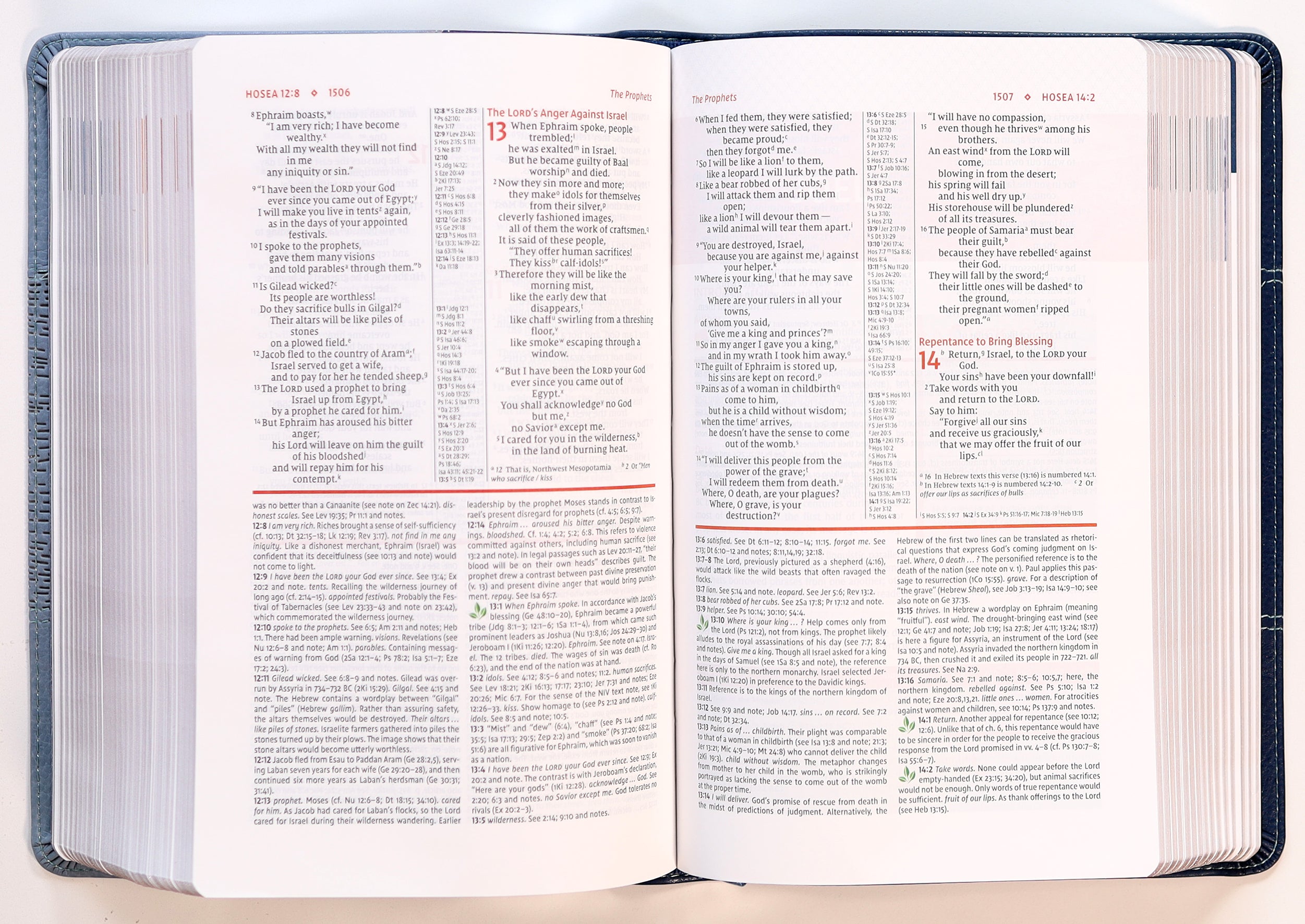 NIV Study Bible Personal Size Navy/Blue (Red Letter Edition) Fully Revised Edition (2020)