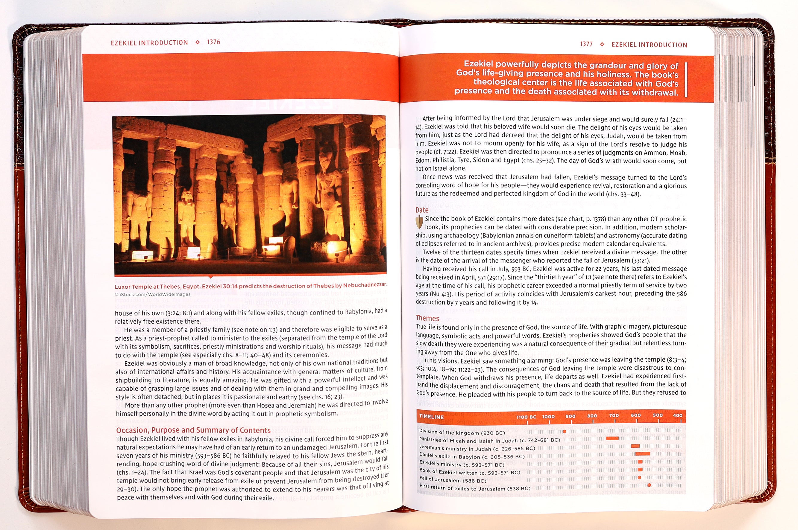 NIV Study Bible Large Print Brown (Red Letter Edition) Fully Revised Edition (2020)