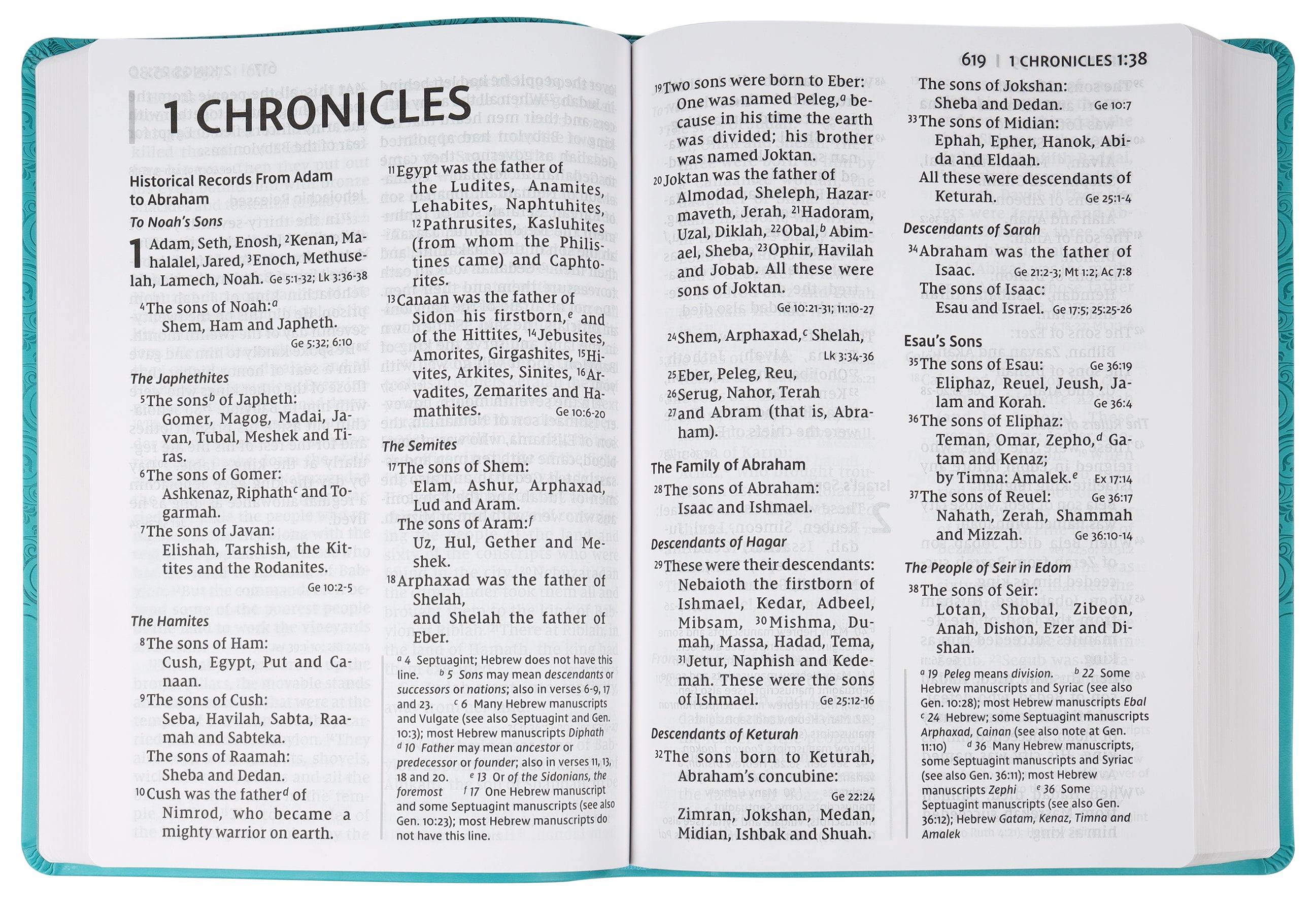 NIV Super Giant Print Reference Bible Blue (Red Letter Edition)