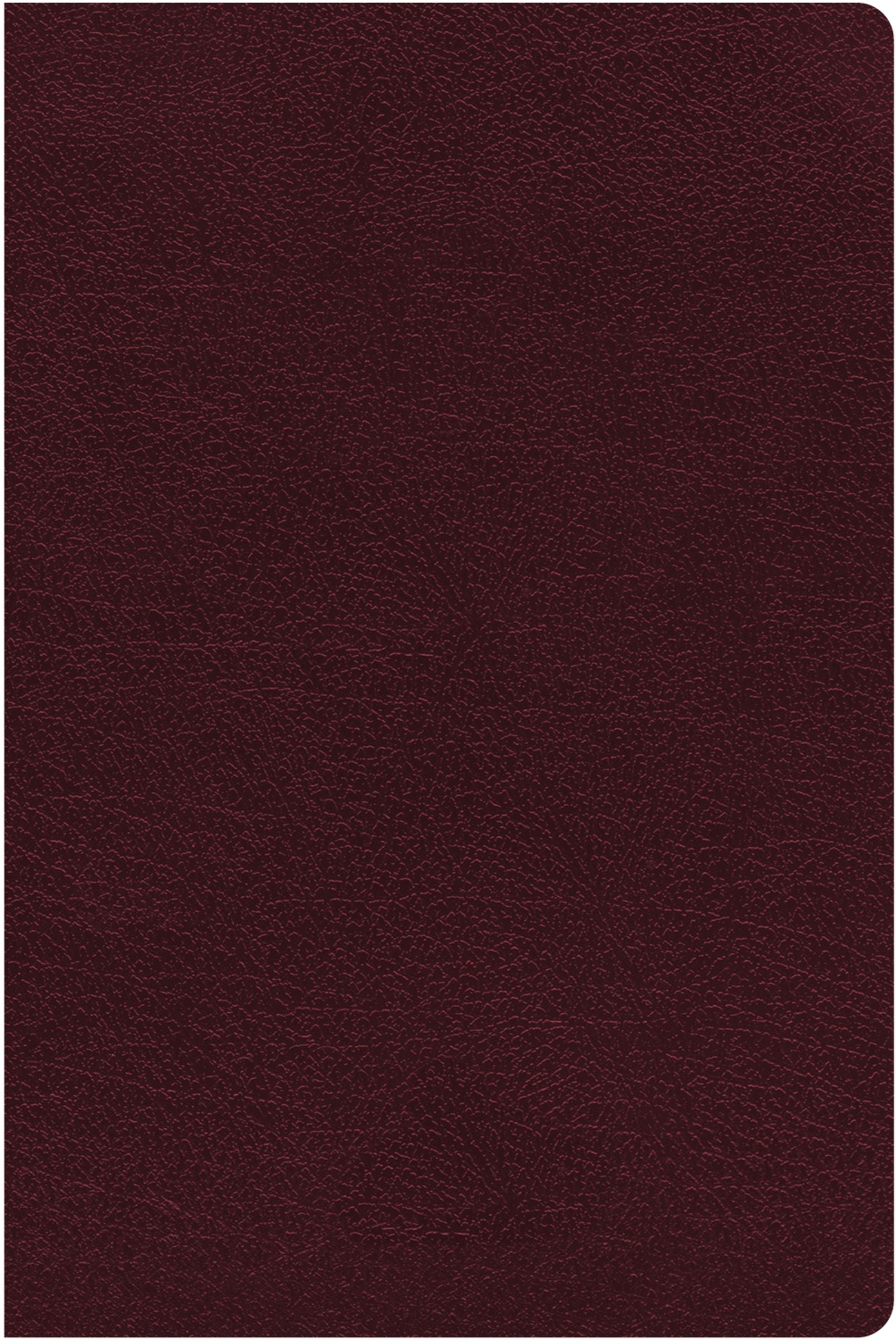 NIV Reference Bible Giant Print Burgundy (Red Letter Edition)