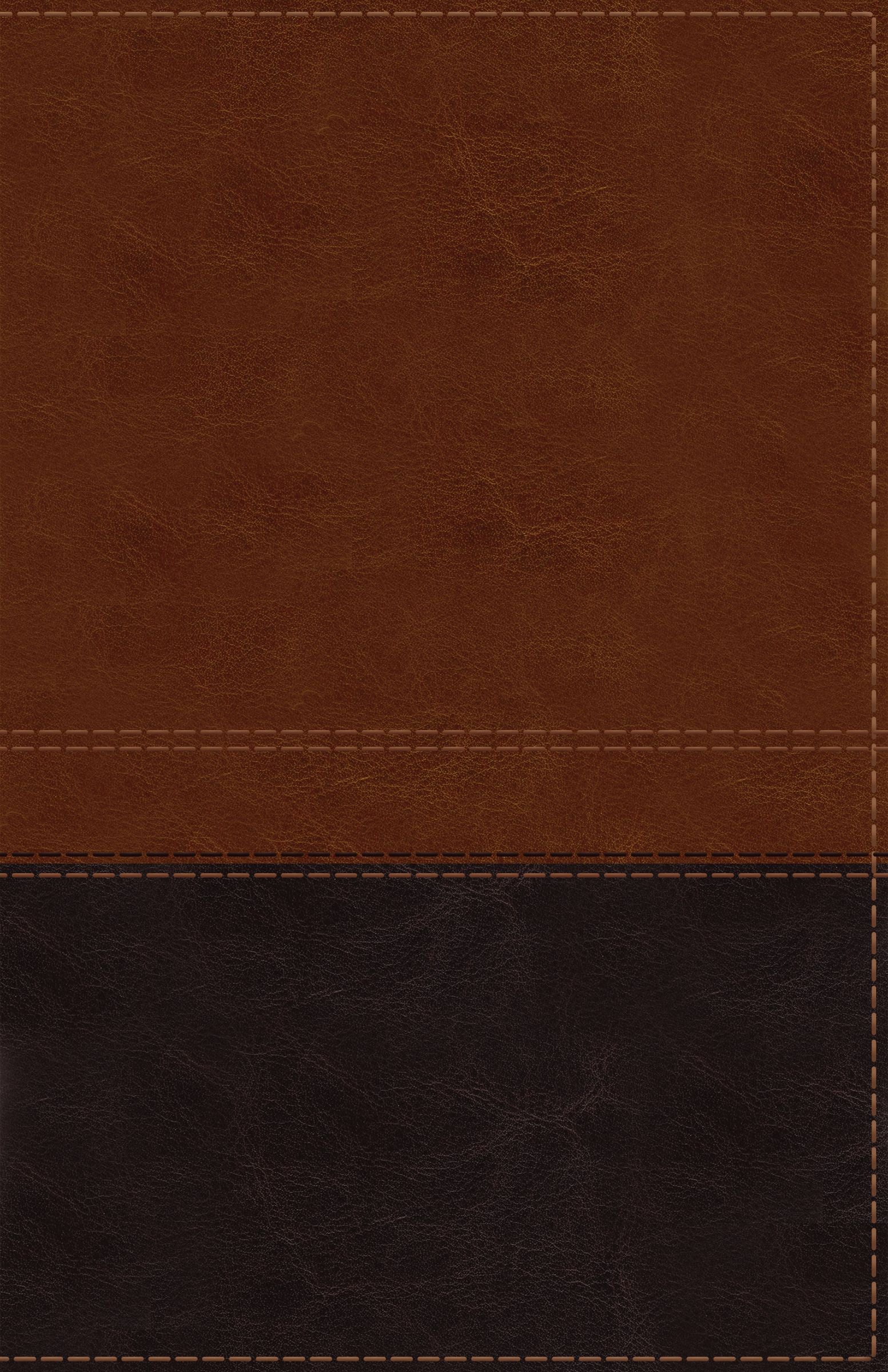 NIV Reference Bible Giant Print Indexed Brown (Red Letter Edition)