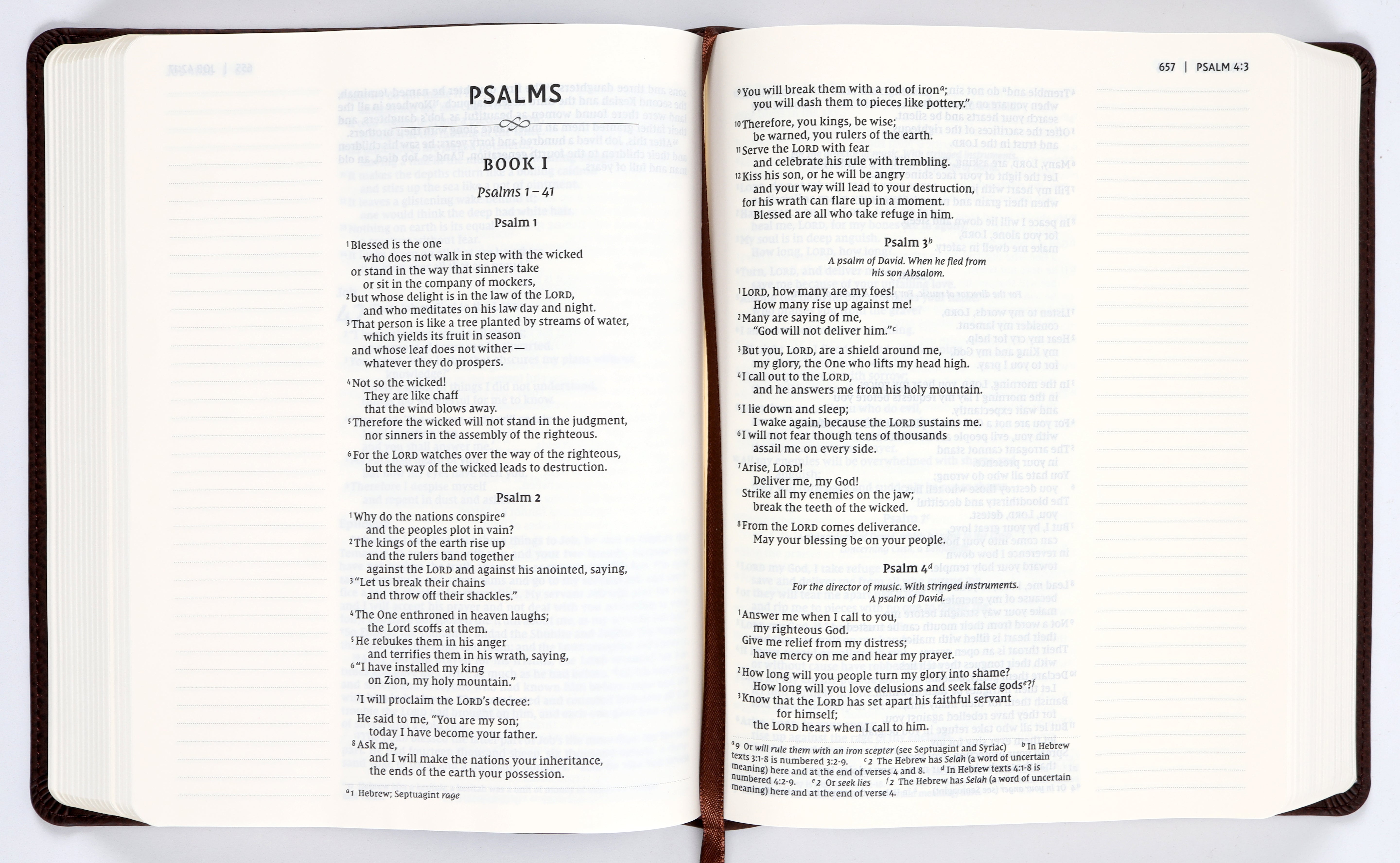 NIV Journal the Word Bible Brown (Red Letter Edition)