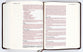 NIV Journal the Word Bible Brown (Red Letter Edition)