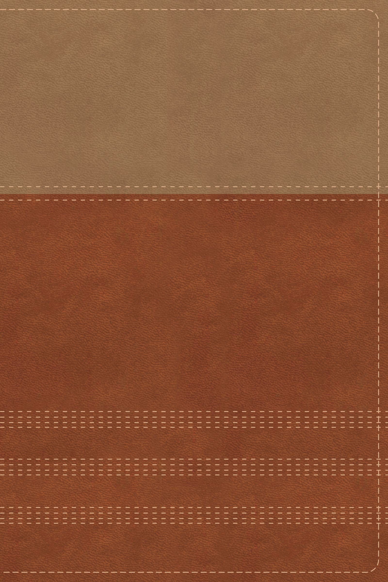 NIV Biblical Theology Study Bible Tan/Brown Indexed (Black Letter Edition)
