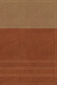 NIV Biblical Theology Study Bible Tan/Brown Indexed (Black Letter Edition)