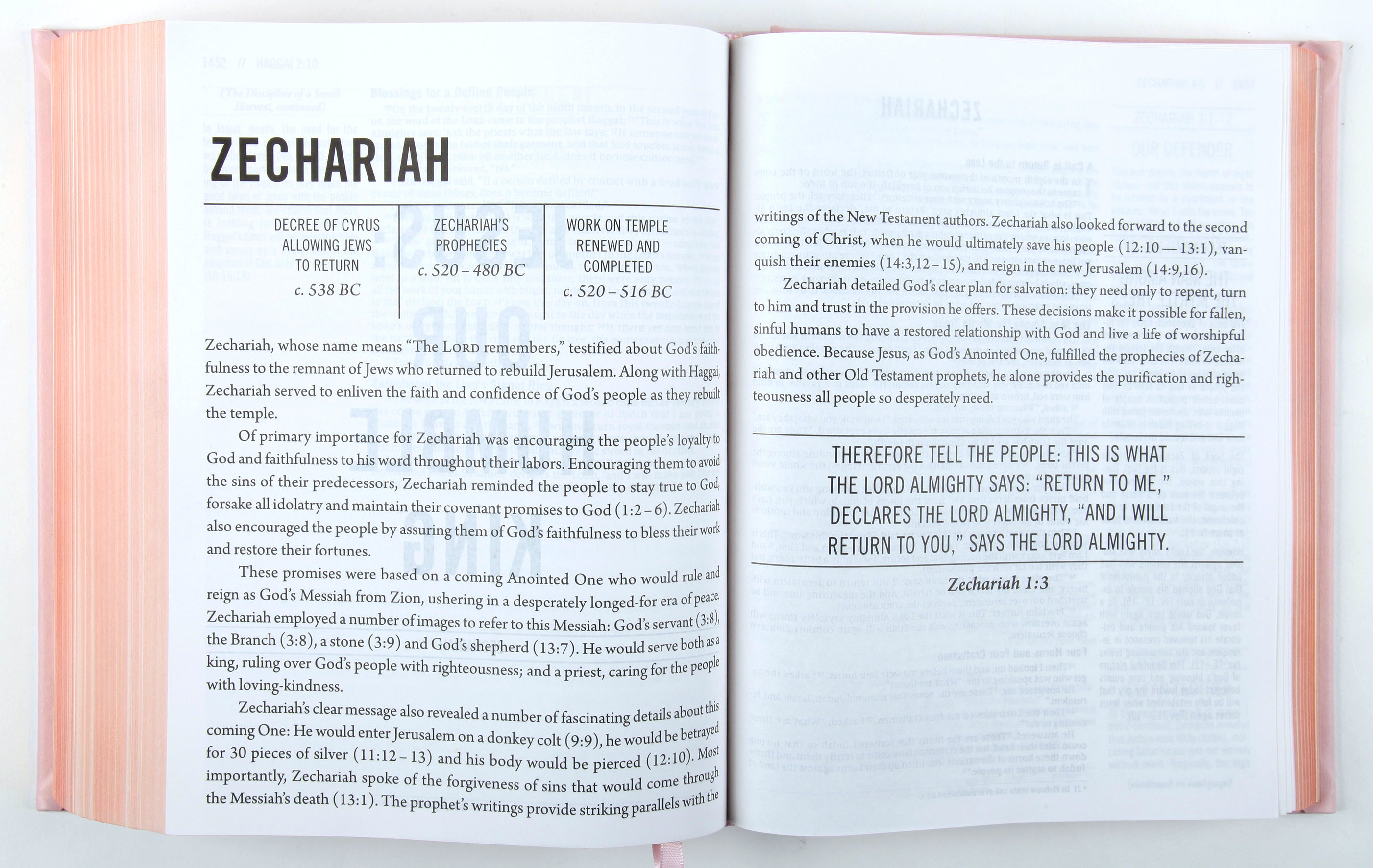 NIV the Jesus Bible Pink Comfort Print Edition (Black Letter Edition)