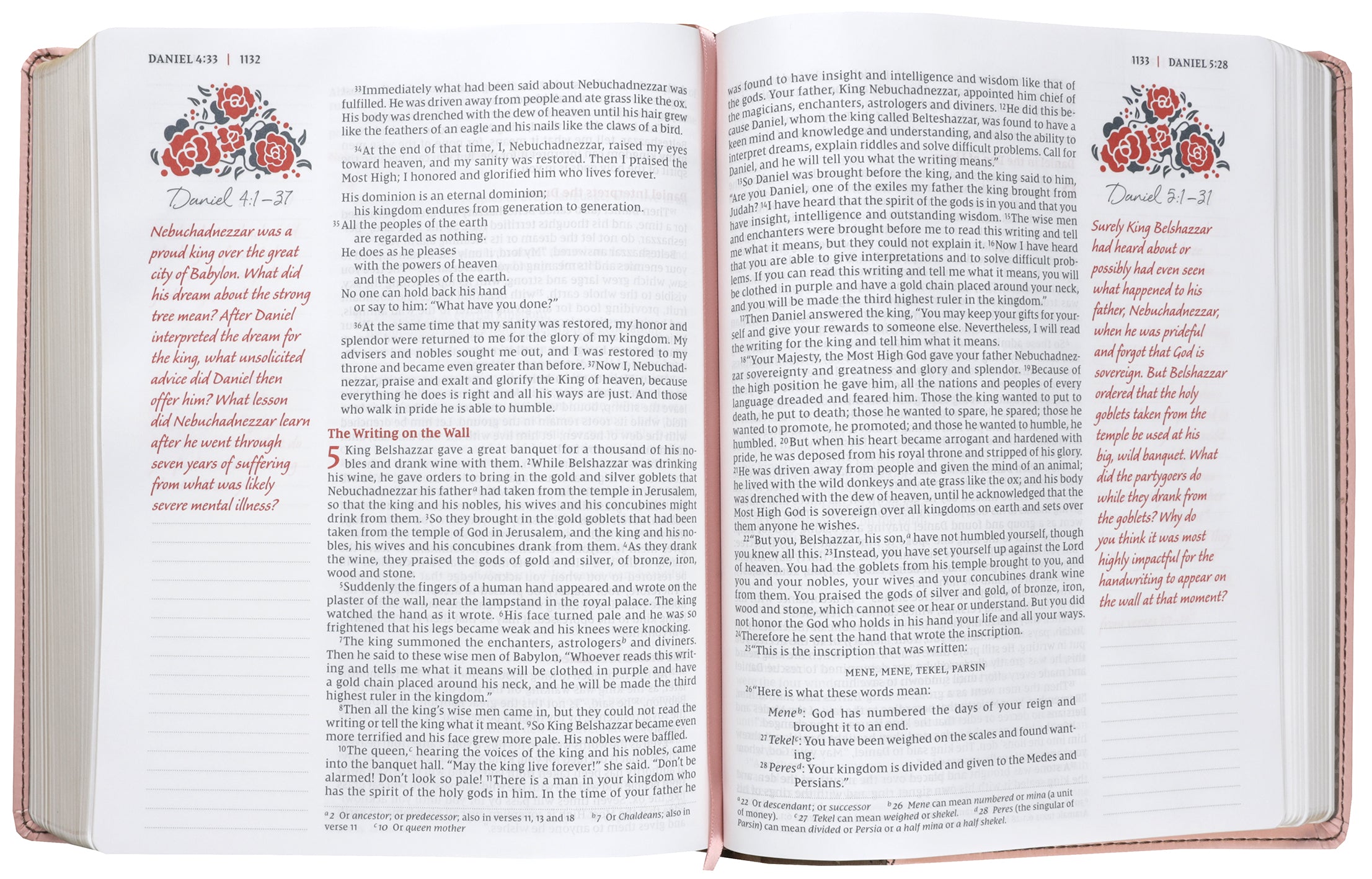 NIV Journal the Word Bible For Women Pink (Red Letter Edition)
