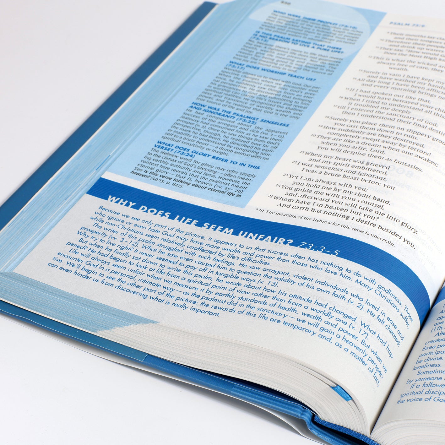 NIV Quest Study Bible Brown