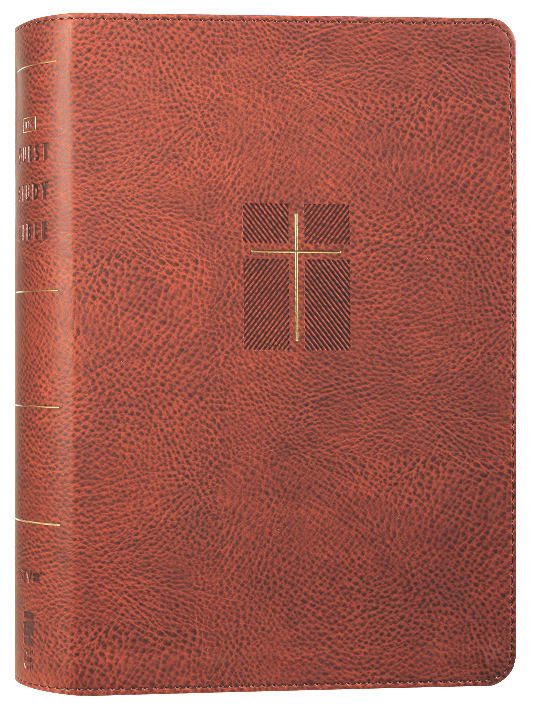 NIV Quest Study Bible Brown