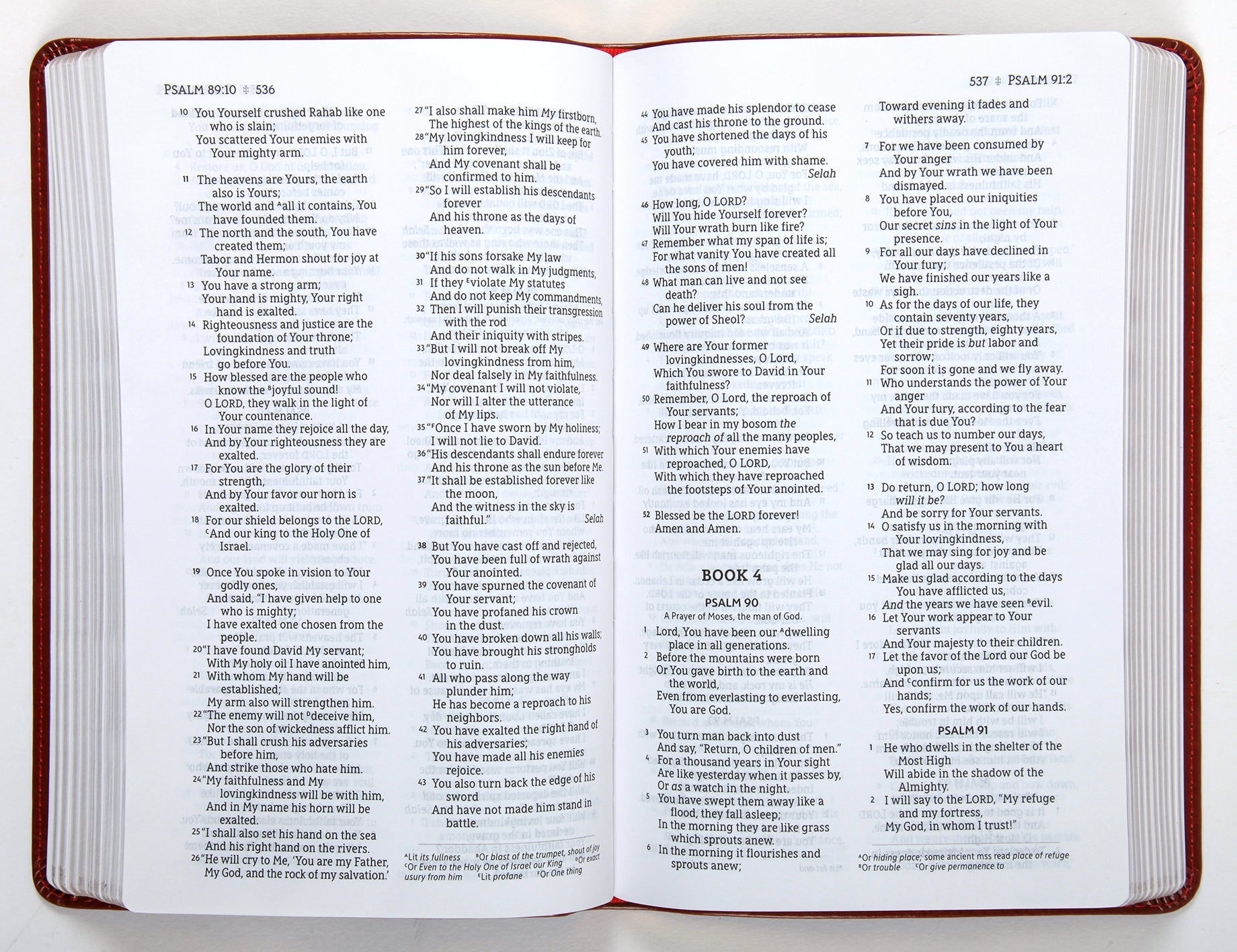 NASB Thinline Bible Brown 1995 Text (Red Letter Edition)