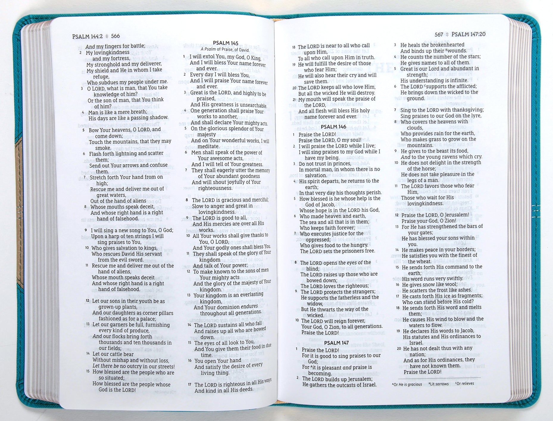 NASB Thinline Bible Teal 1995 Text (Red Letter Edition)