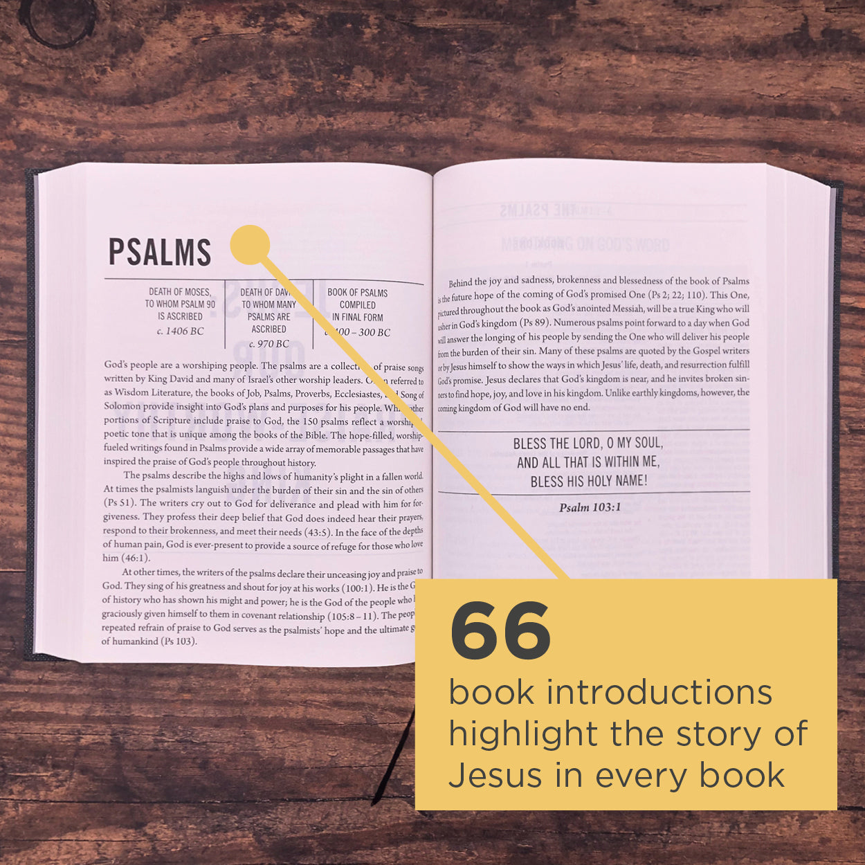 ESV the Jesus Bible Charcoal