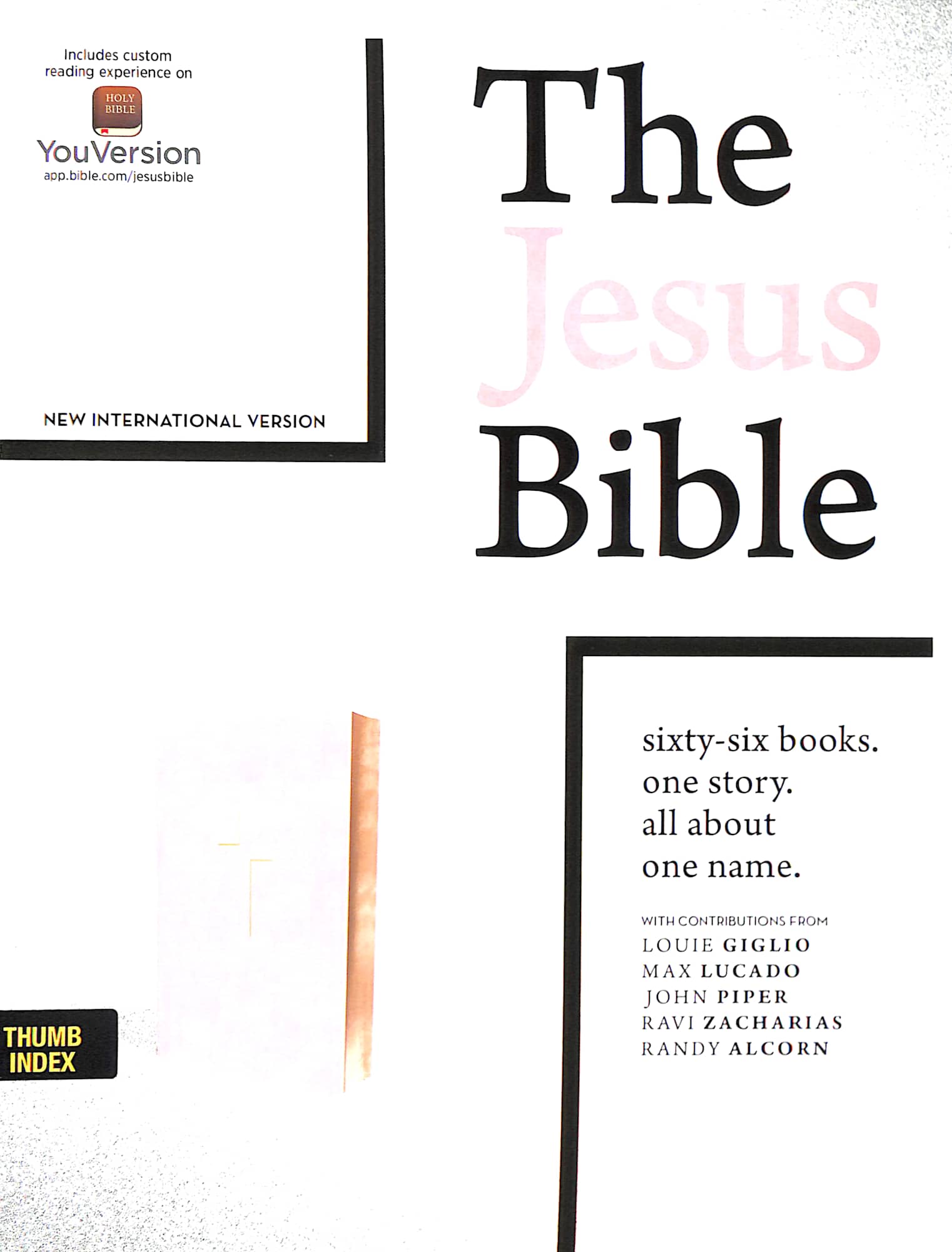 NIV the Jesus Bible Indexed Pink