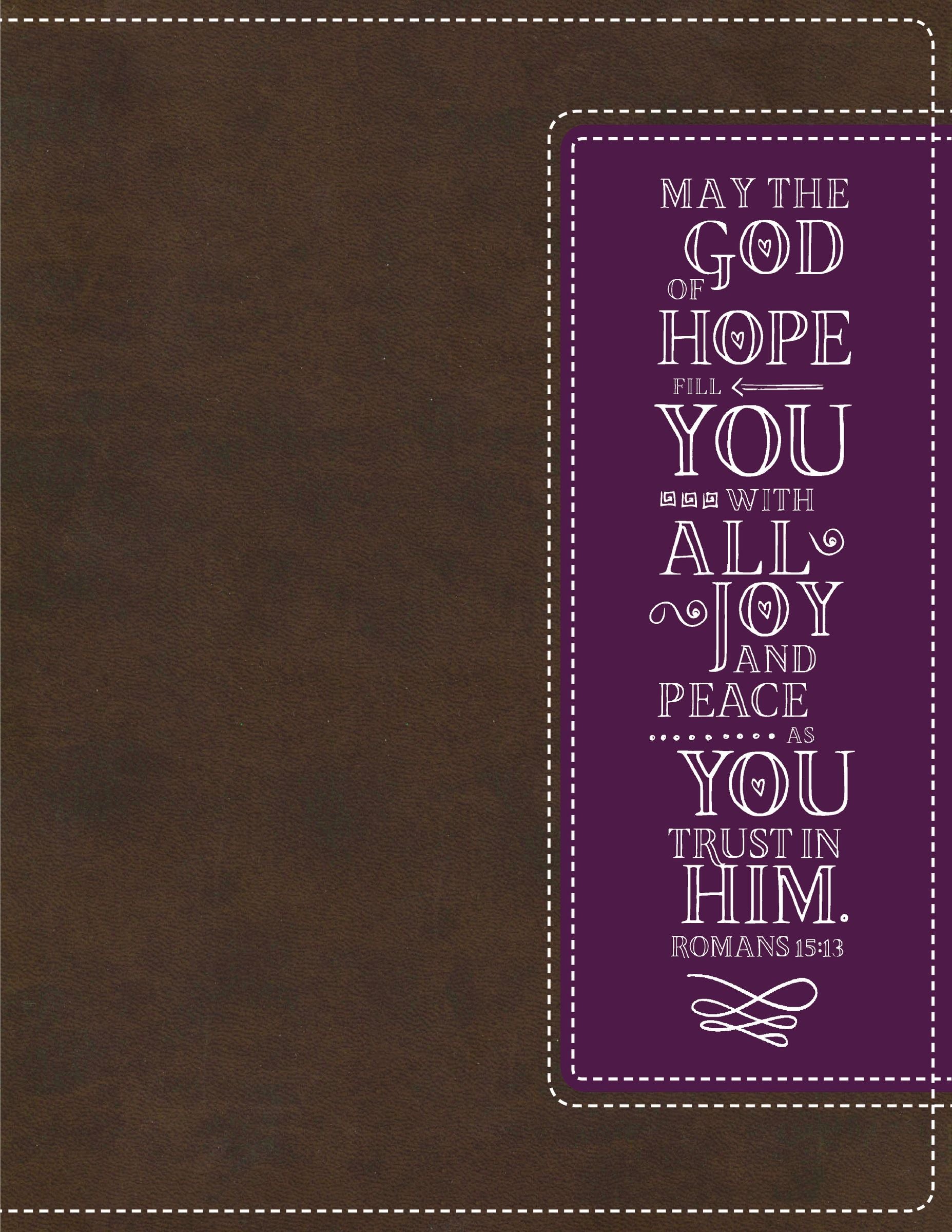 NIV Beautiful Word Coloring Bible and 8-Pencil Gift Set Brown/Purple (Black Letter Edition)