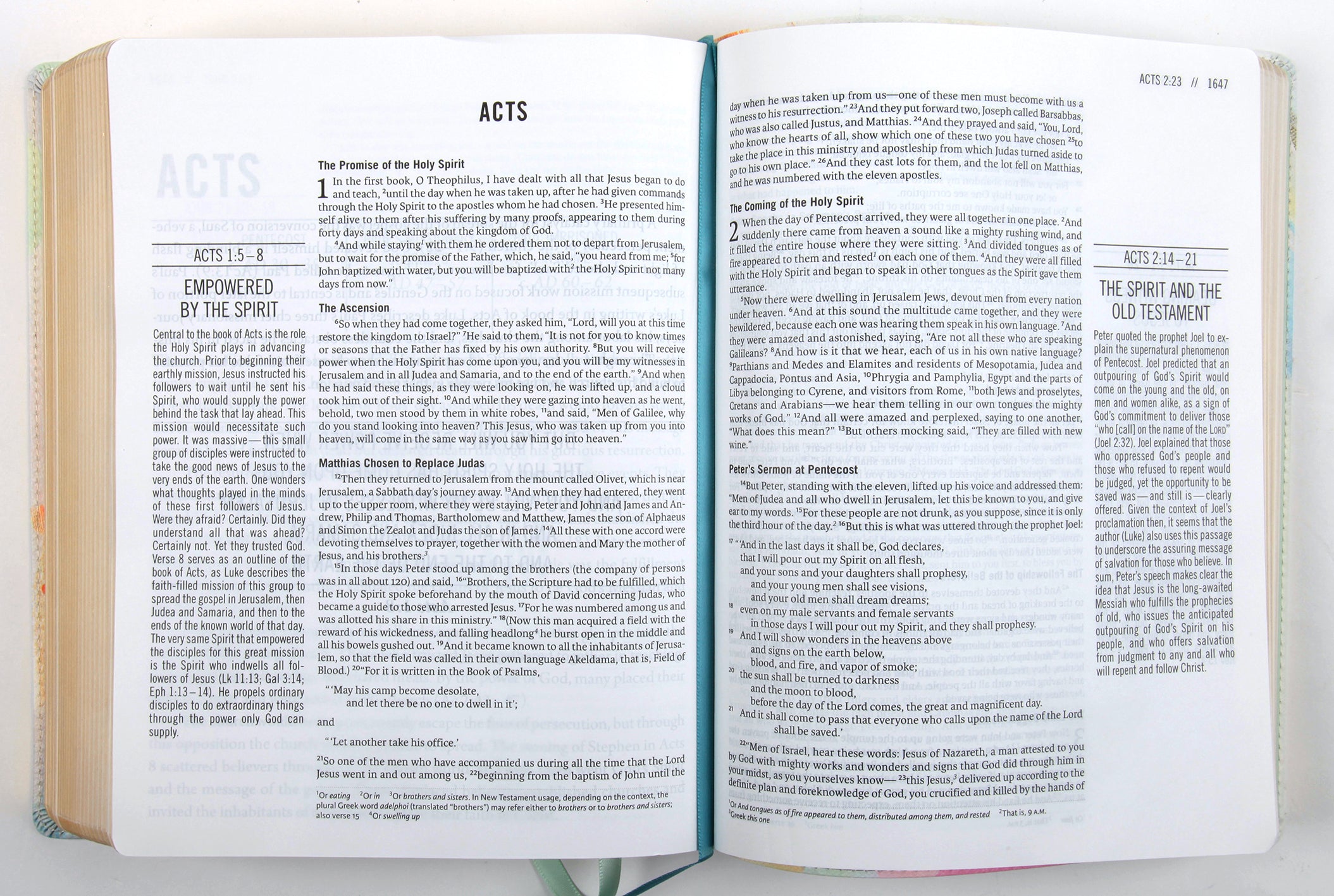 ESV the Jesus Bible Multi-Color Teal