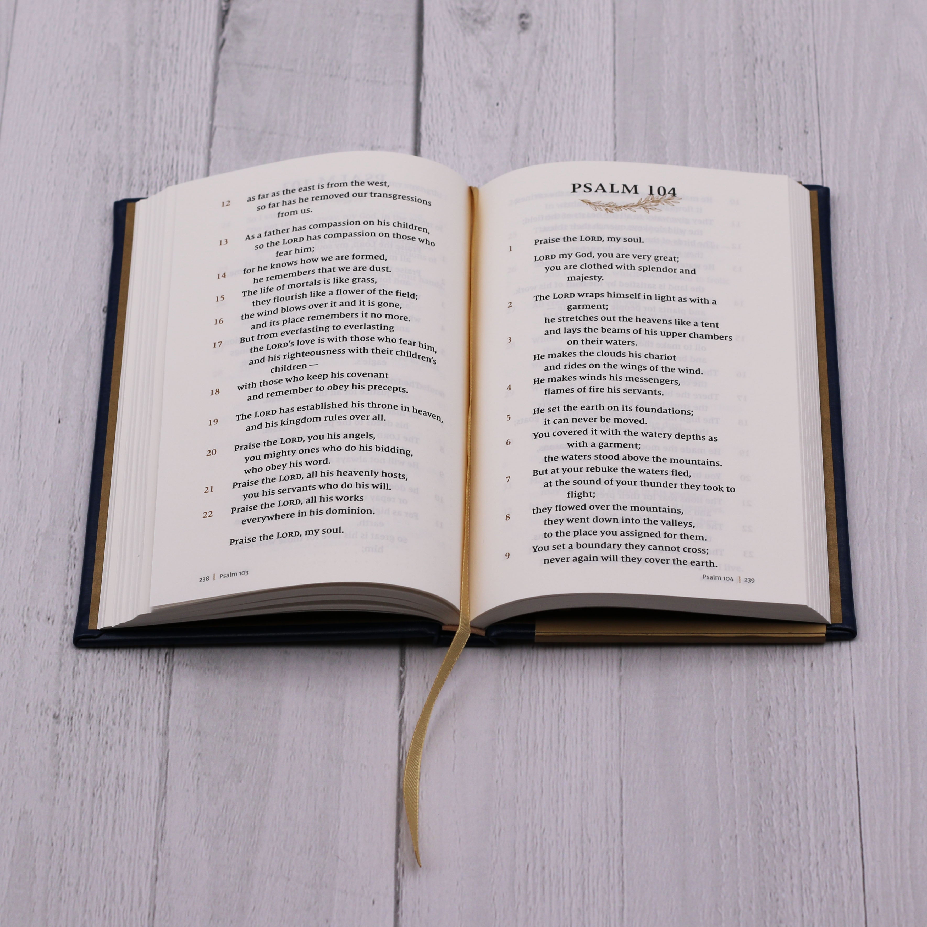 NIV Psalms and Proverbs Navy