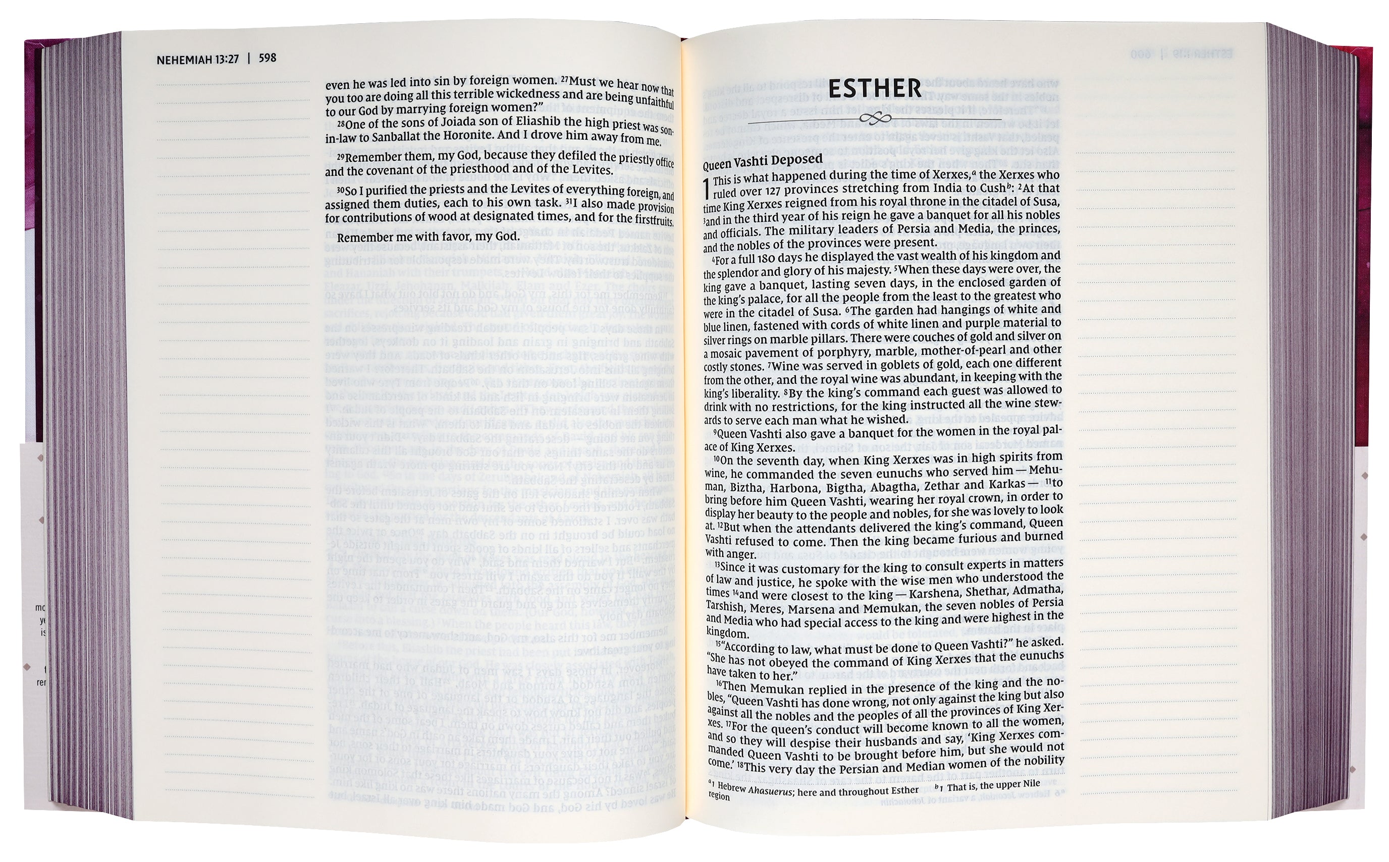 NIV Artisan Collection Bible Pink (Red Letter Edition)