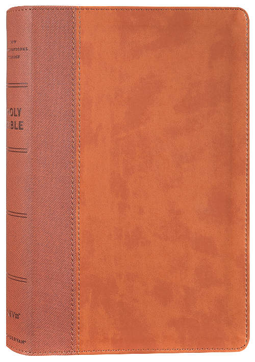 NIV Personal Size Bible Large Print Brown (Red Letter Edition)