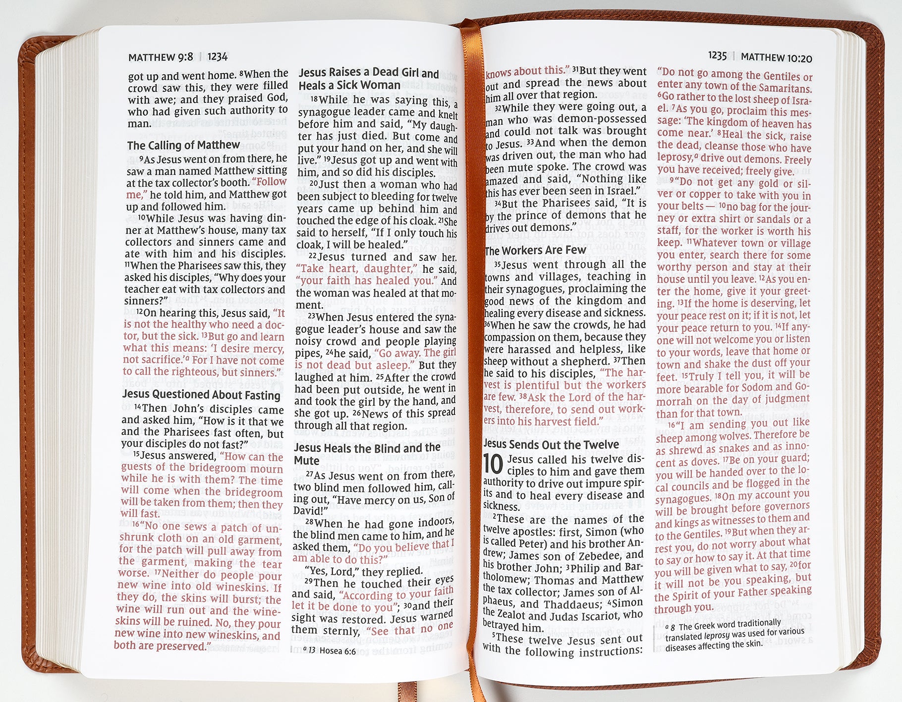 NIV Personal Size Bible Large Print Brown (Red Letter Edition)