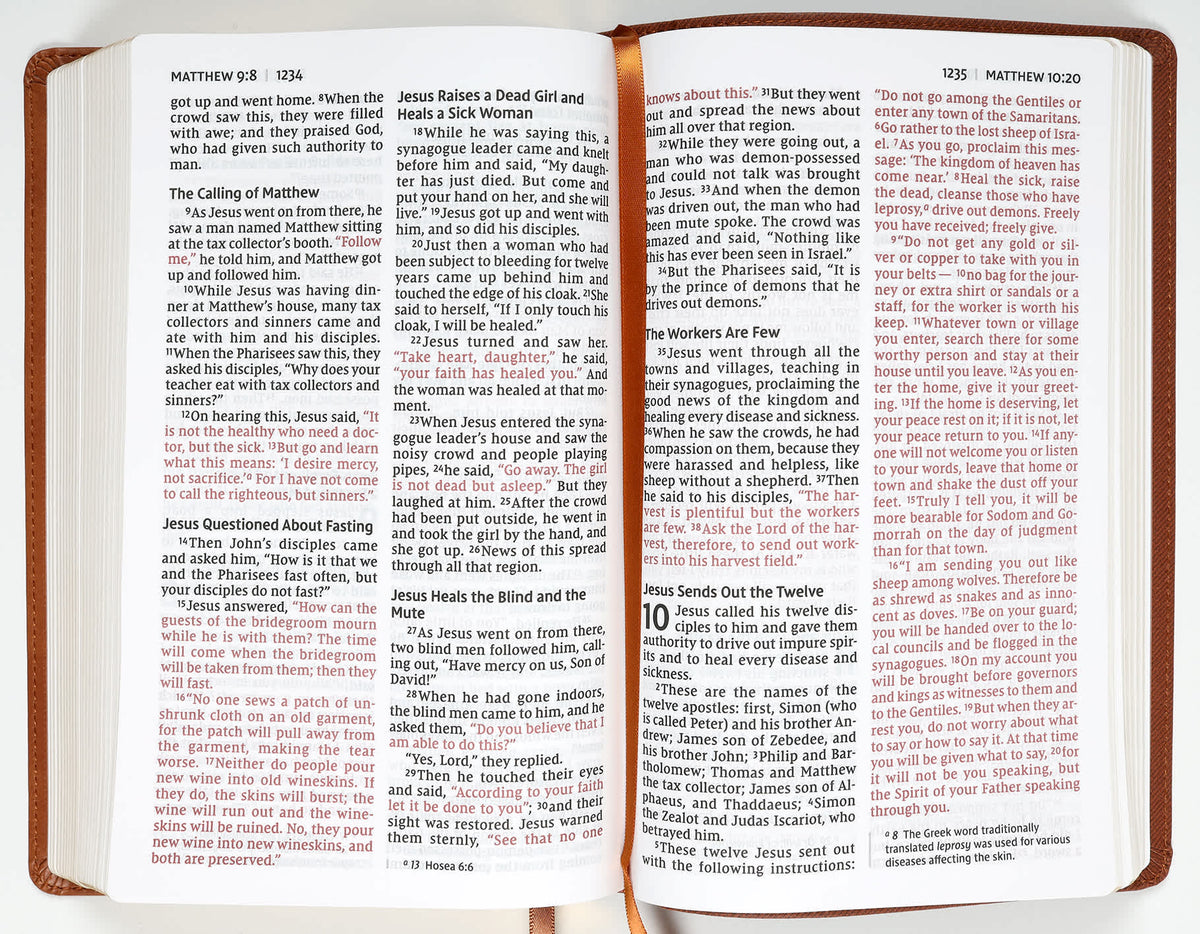 NIV Personal Size Bible Large Print Brown (Red Letter Edition)