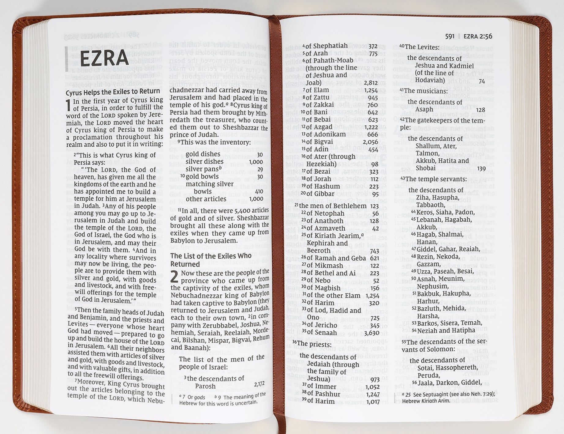 NIV Personal Size Bible Large Print Brown (Red Letter Edition)