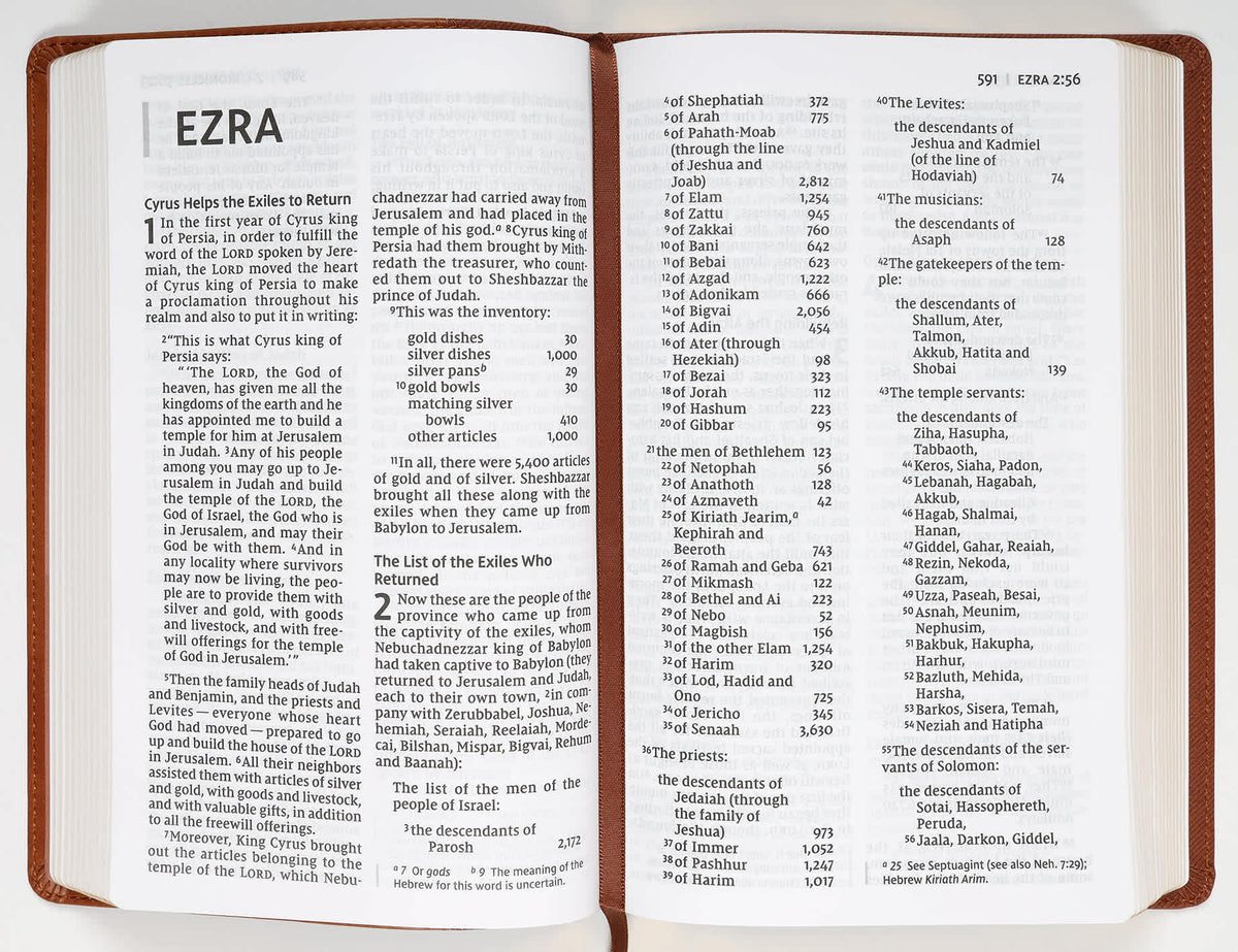 NIV Personal Size Bible Large Print Brown (Red Letter Edition)