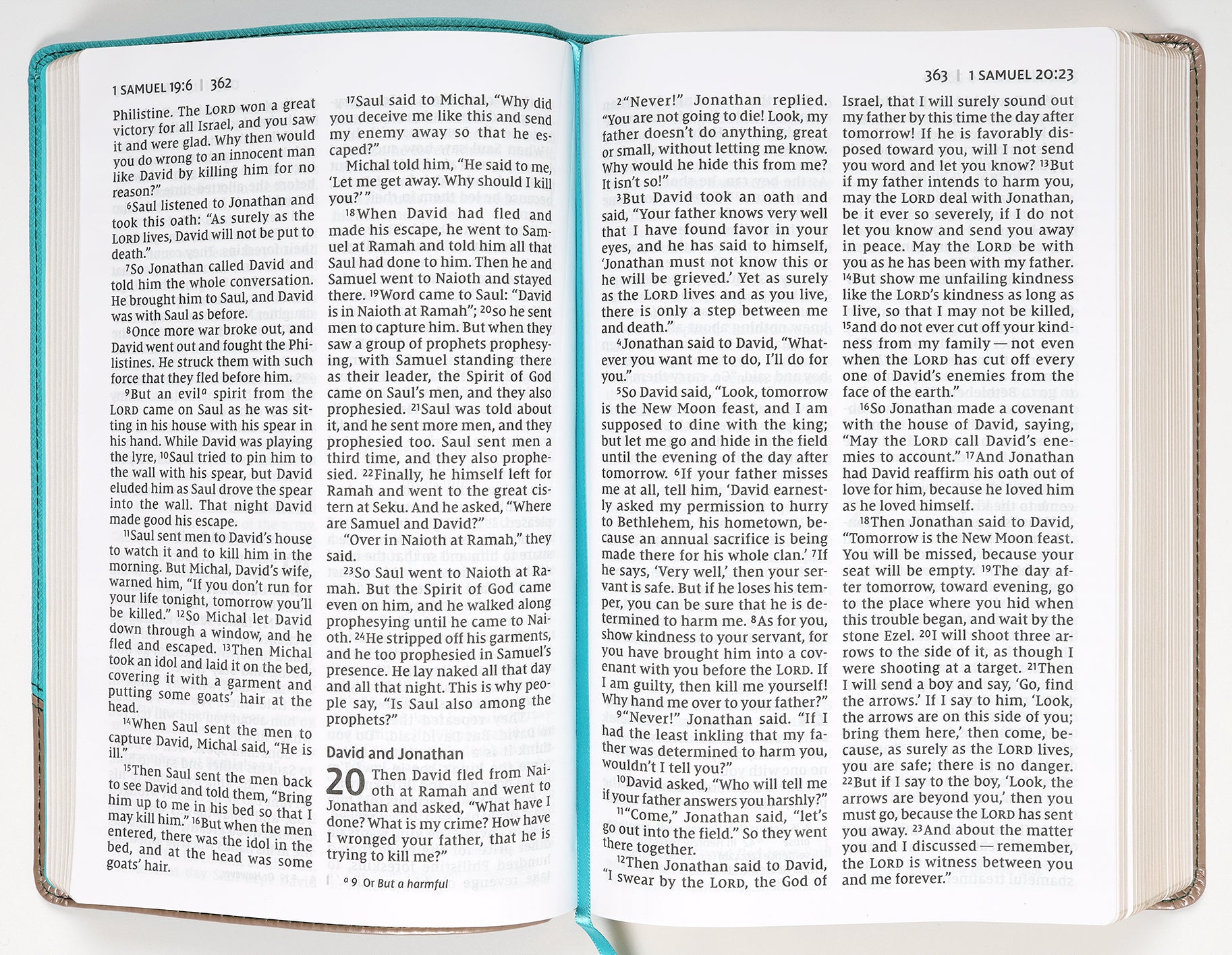 NIV Personal Size Bible Large Print Teal/Gold (Red Letter Edition)