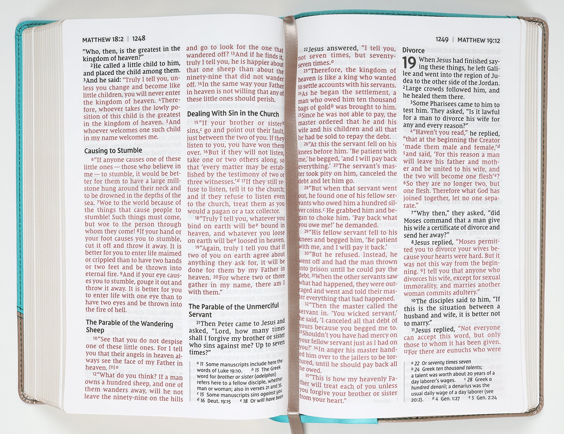 NIV Personal Size Bible Large Print Teal/Gold (Red Letter Edition)