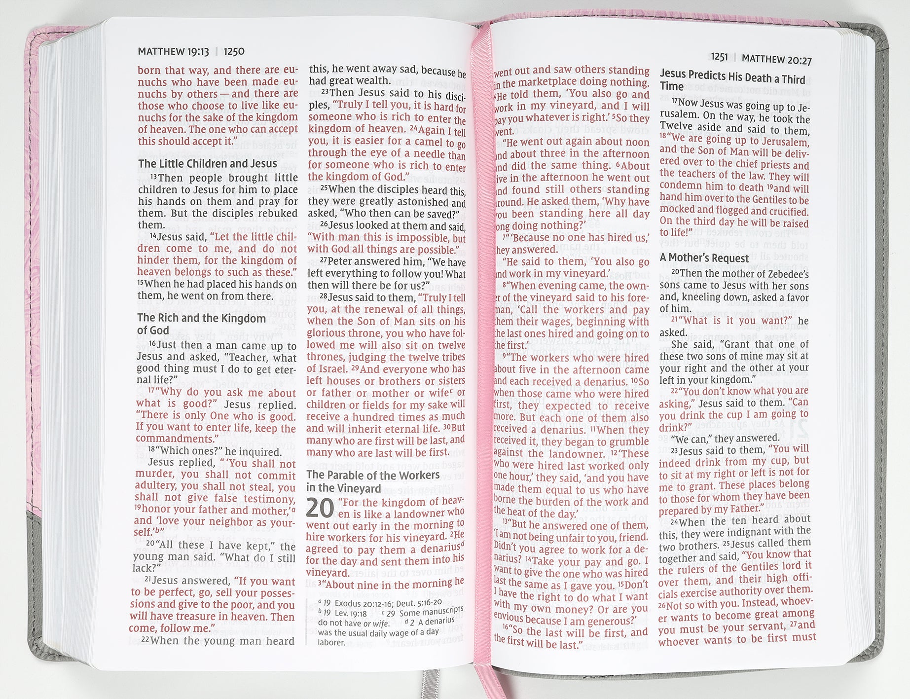 NIV Personal Size Bible Large Print Pink/Gray (Red Letter Edition)