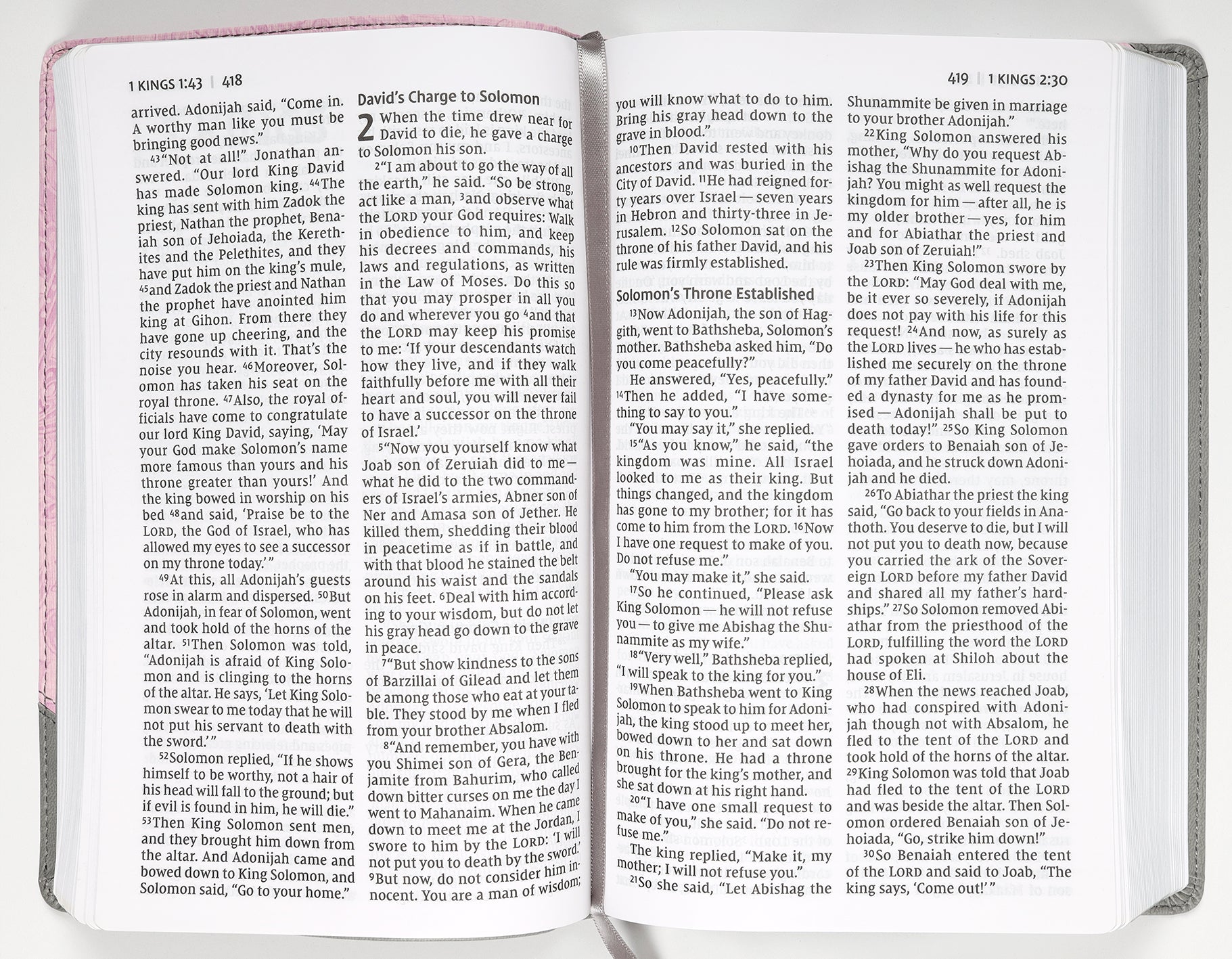NIV Personal Size Bible Large Print Pink/Gray (Red Letter Edition)