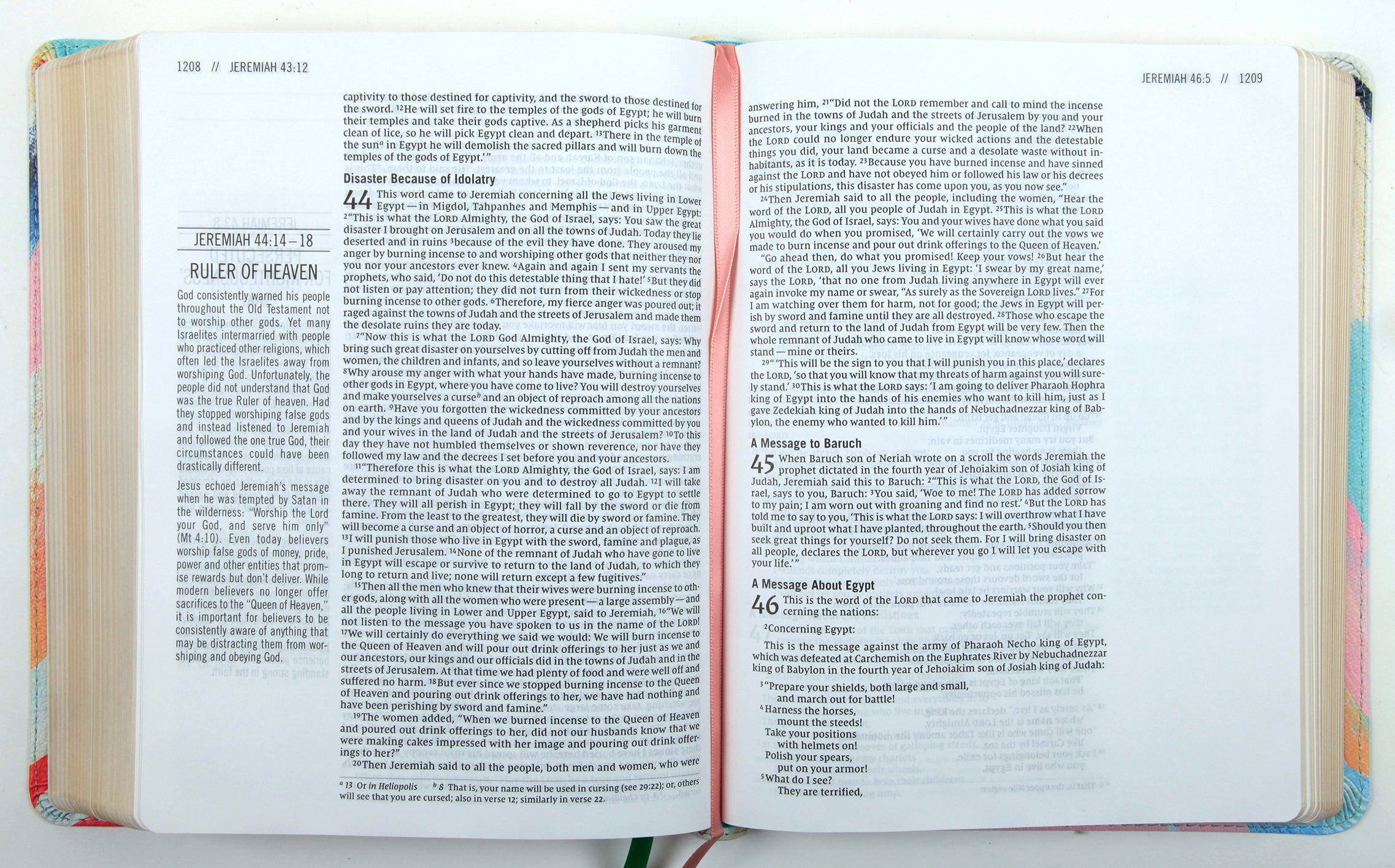 NIV the Jesus Bible Multi-Color Teal