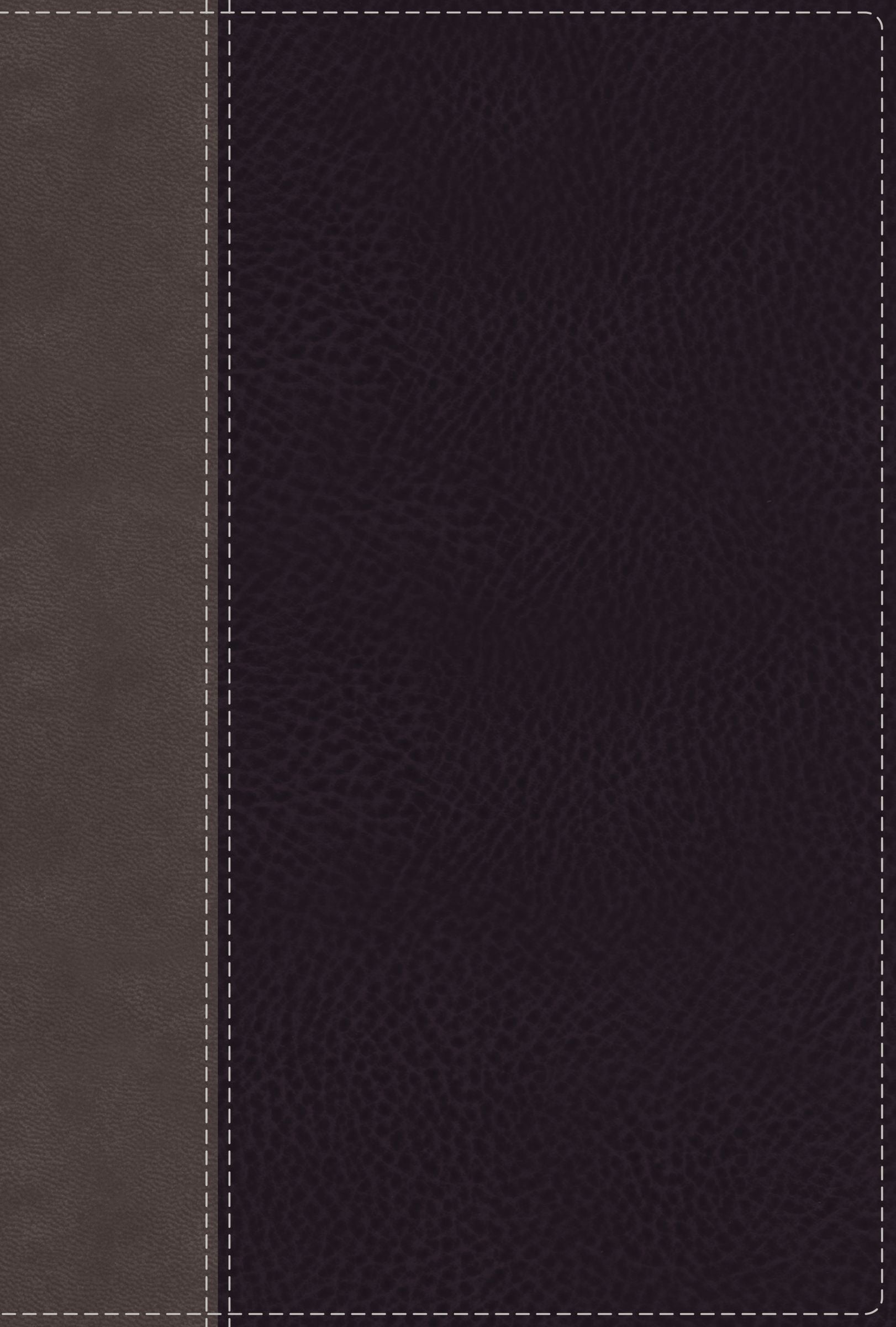 NIV Giant Print Compact Bible Black (Red Letter Edition)