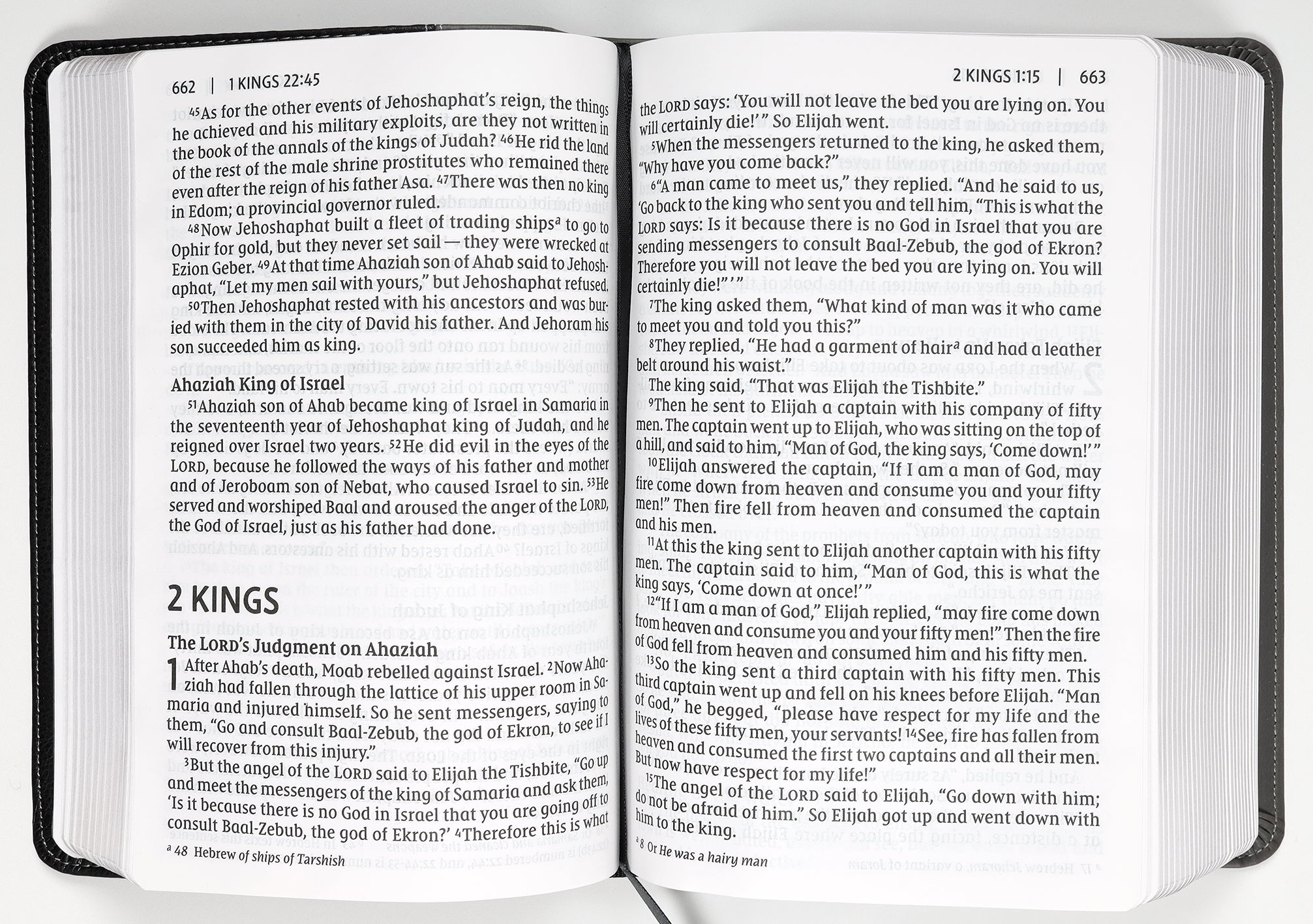 NIV Giant Print Compact Bible Black (Red Letter Edition)
