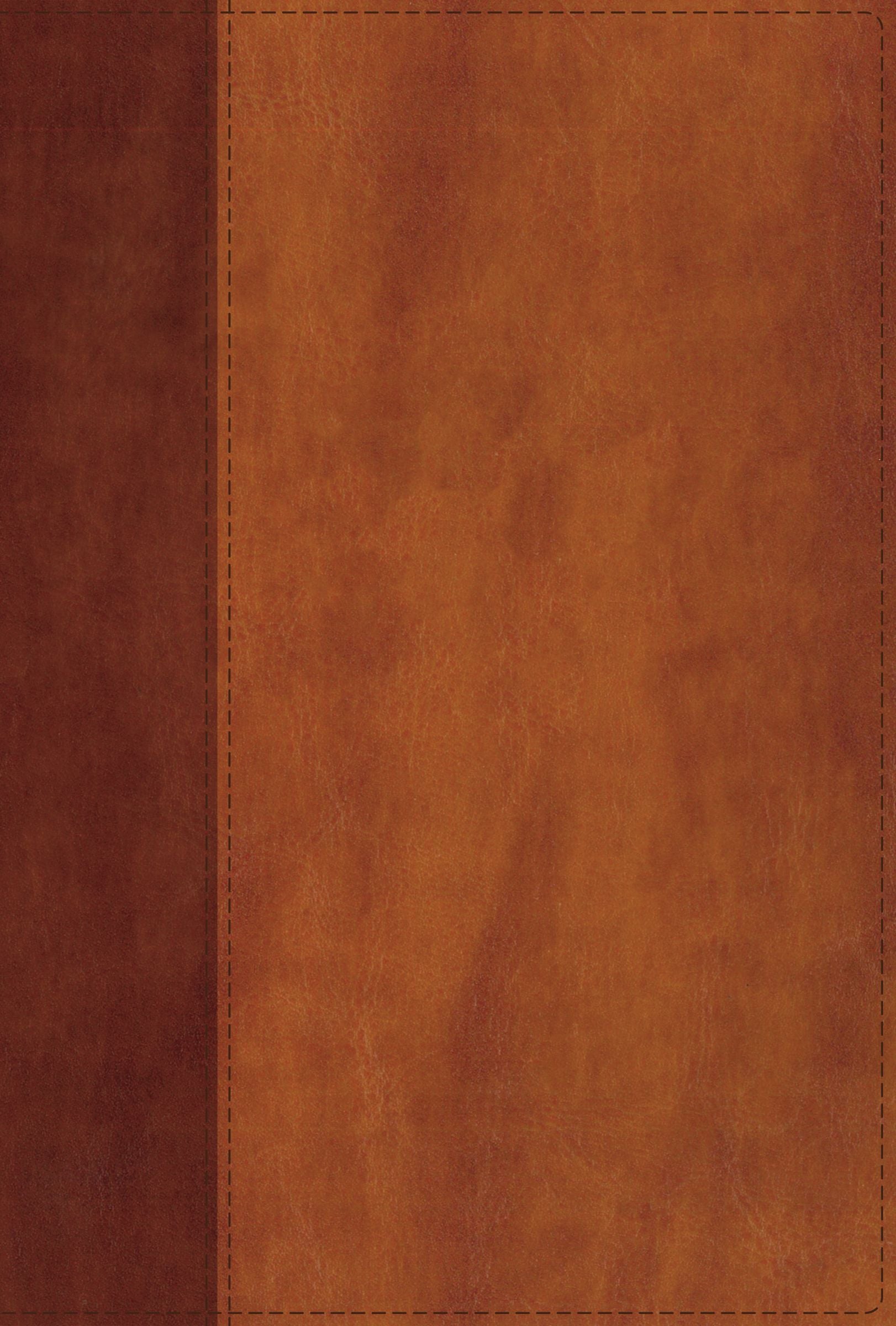 NIV Giant Print Compact Bible Brown (Red Letter Edition)