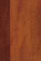 NIV Giant Print Compact Bible Brown (Red Letter Edition)