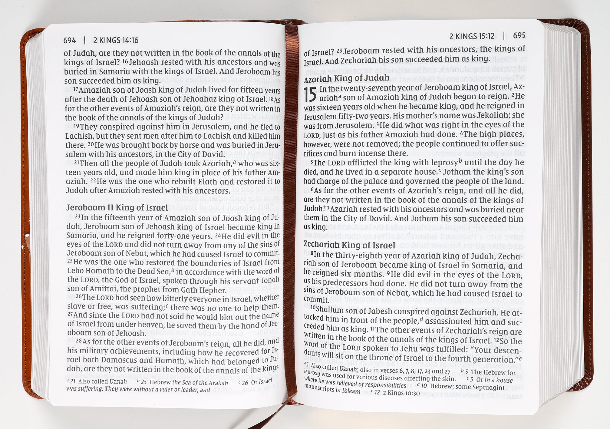 NIV Giant Print Compact Bible Brown (Red Letter Edition)